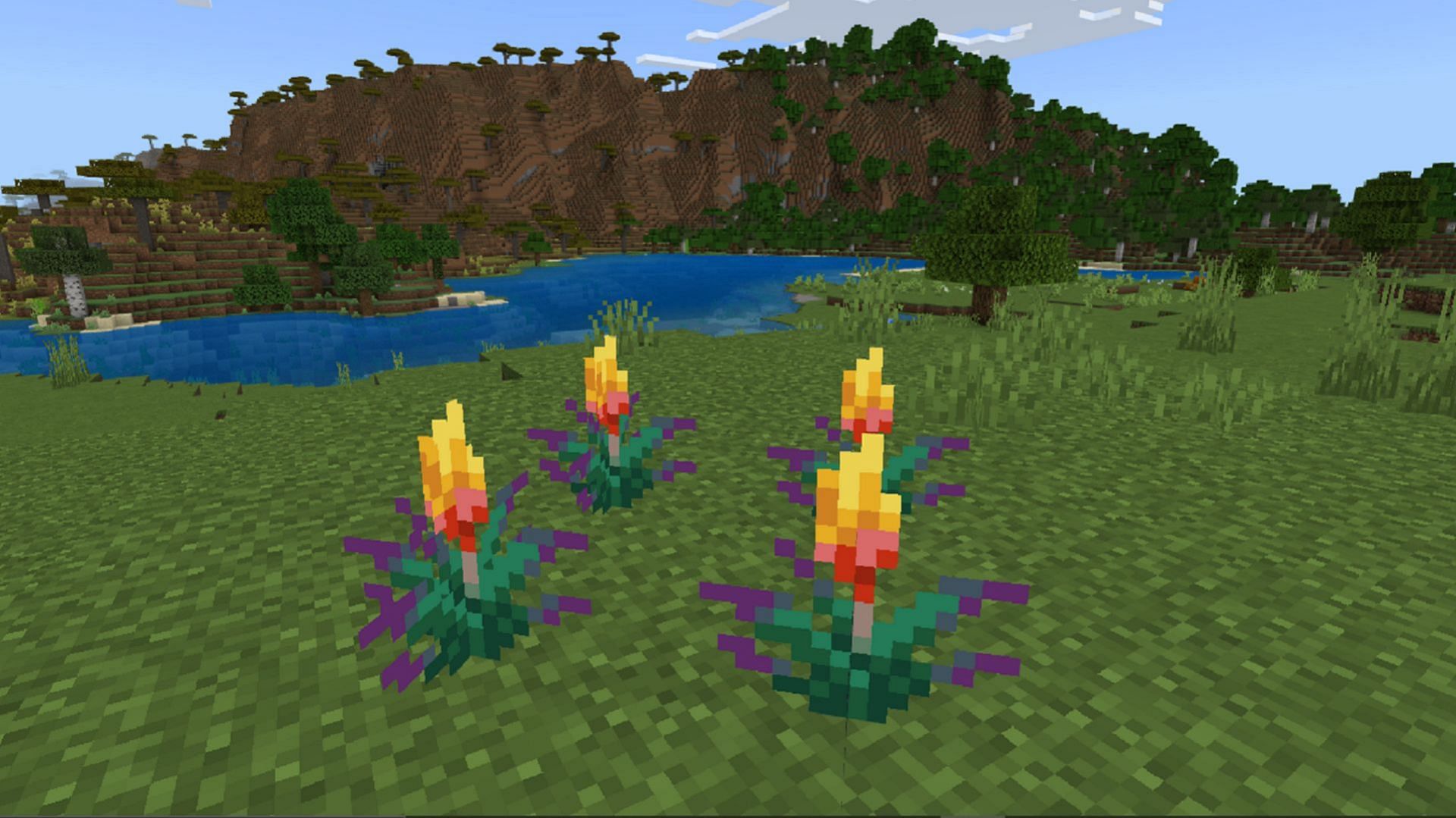 Torchflowers are a new plant type slated to be released in Minecraft 1.20 (Image via Mojang)