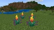 How To Get And Use Torchflower In Minecraft