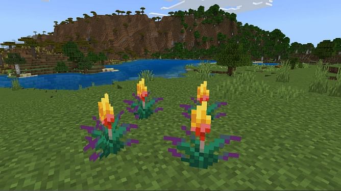 How to get and use Torchflower in Minecraft