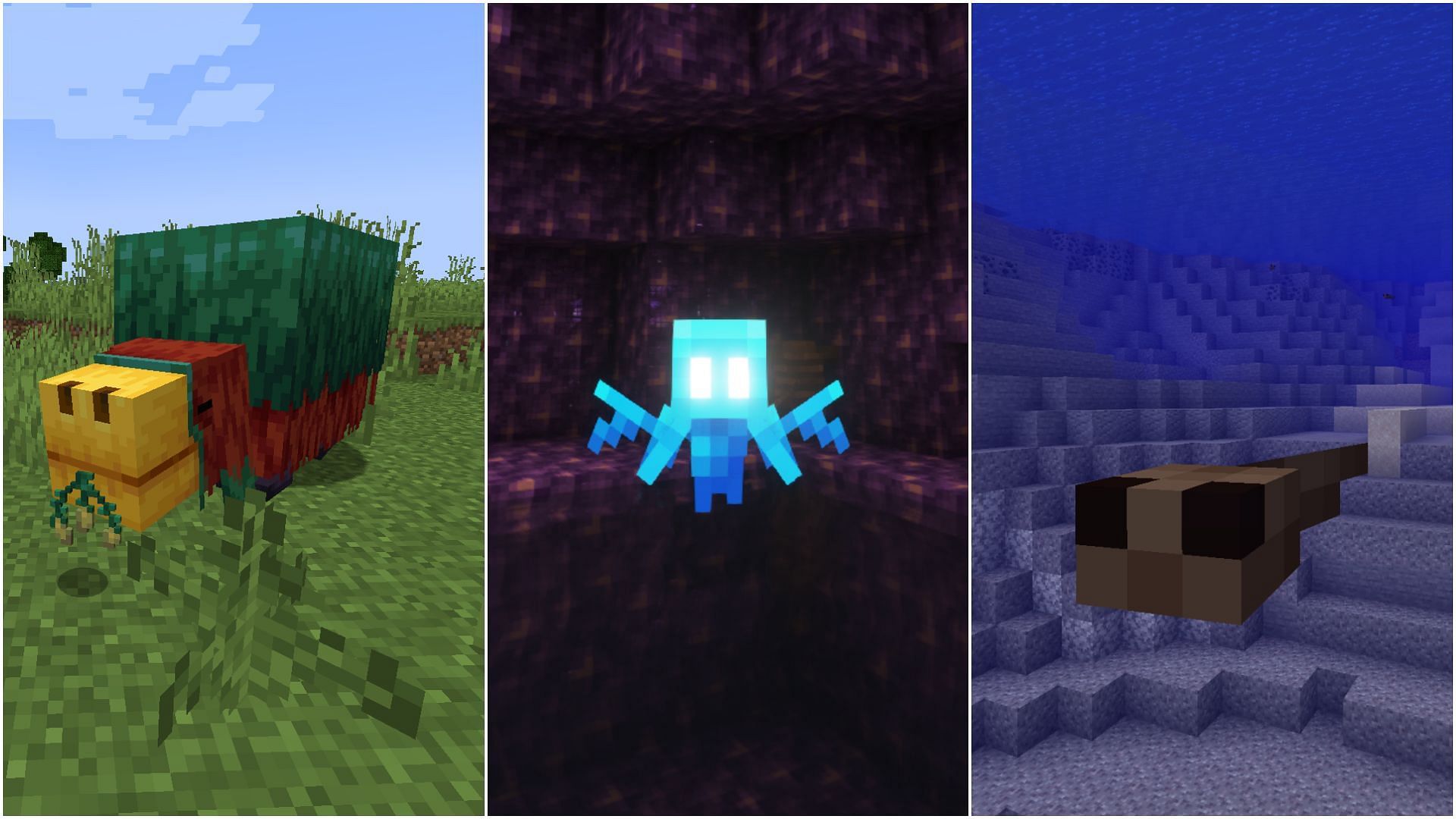 Some of the cutest mobs in Minecraft (Image via Sportskeeda)