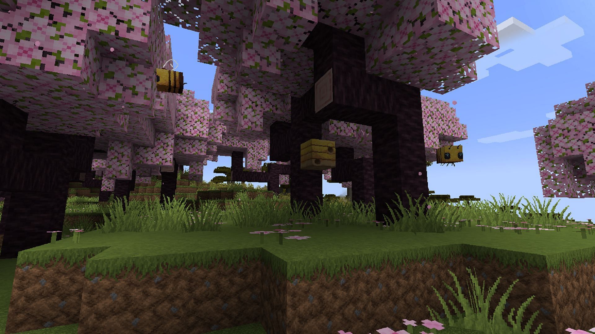 Bees are natural inhabitants of Minecraft&#039;s new cherry grove biome (Image via Mojang)