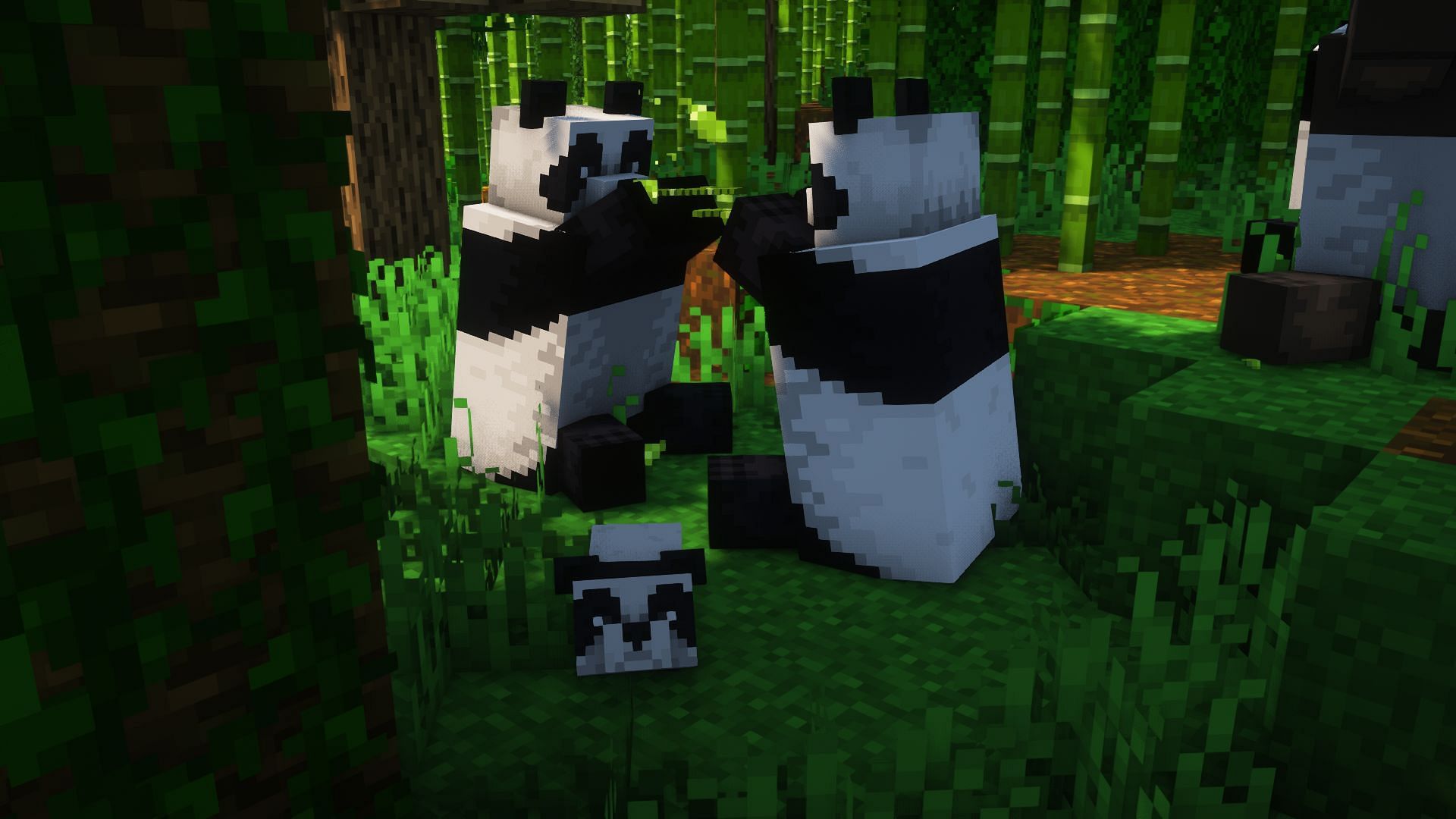 Pandas in the game (Image via Mojang)