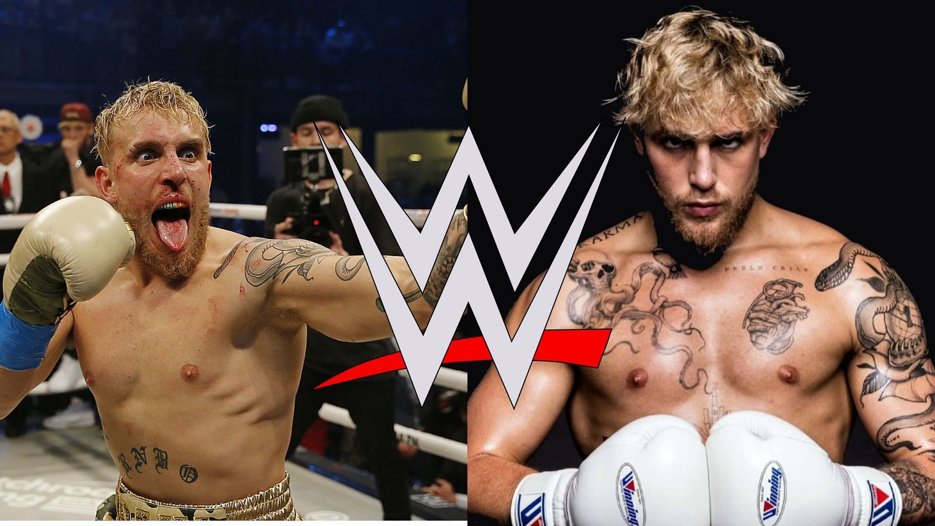 Who do you want to see Jake Paul wrestle against in WWE?