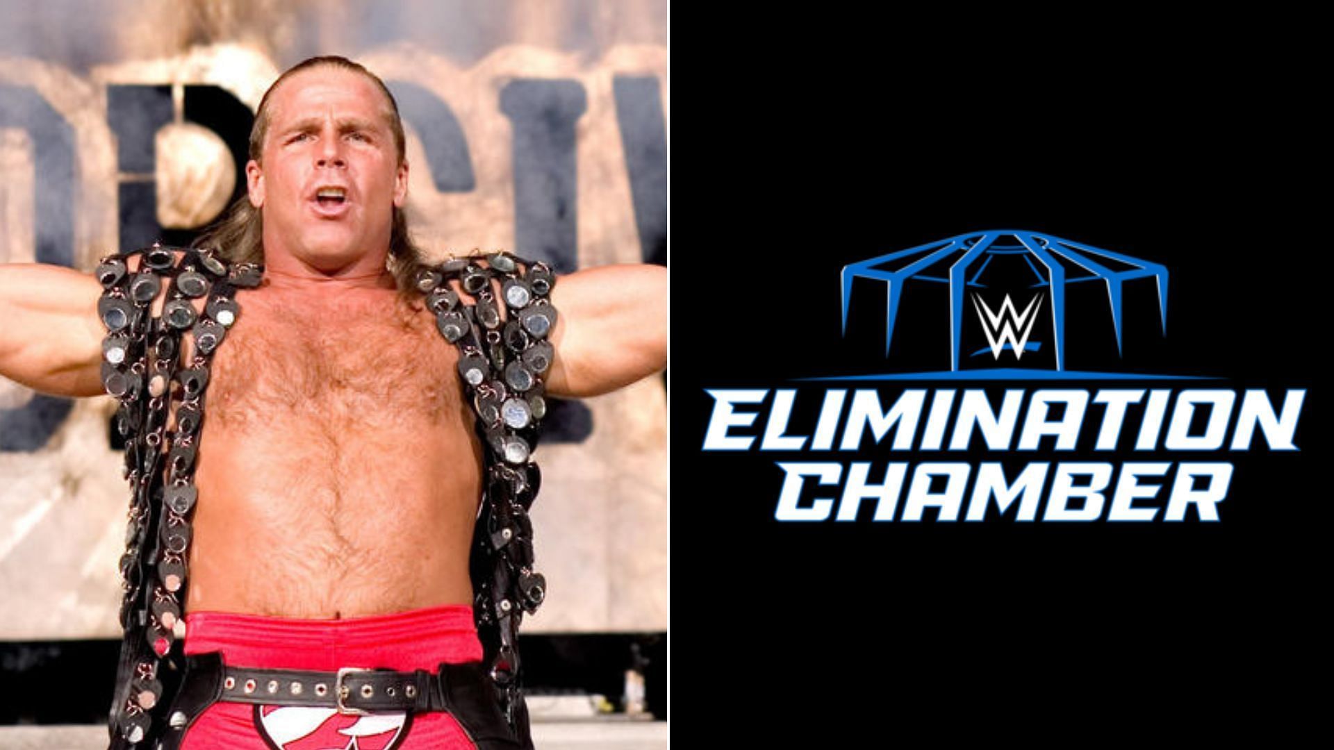 Shawn Michaels is a former WWE Champion!