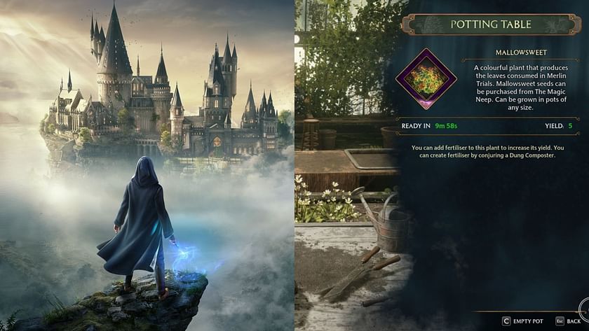 Significant Price Hike for Hogwarts Legacy on Steam and Epic