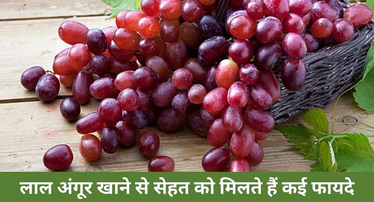 लाल अंगूर खाने से सेहत को मिलते हैं कई फायदे(फोटो-Sportskeeda hindi)