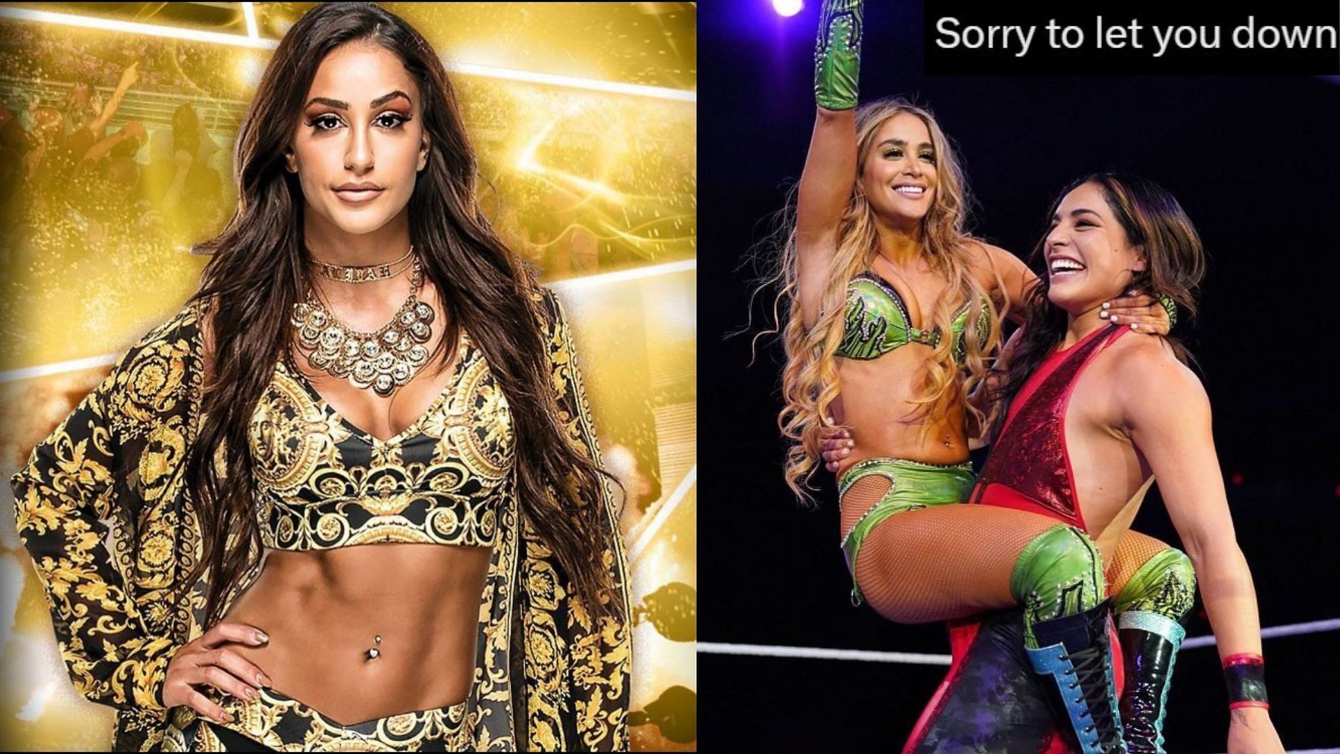 Aliyah deleted tweets on WWE What did Aliyah say in a nowdeleted