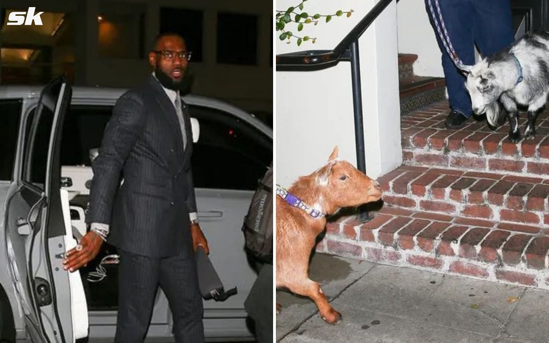 LeBron James made headlines for showing up at a dinner party with 2 goats - literally!