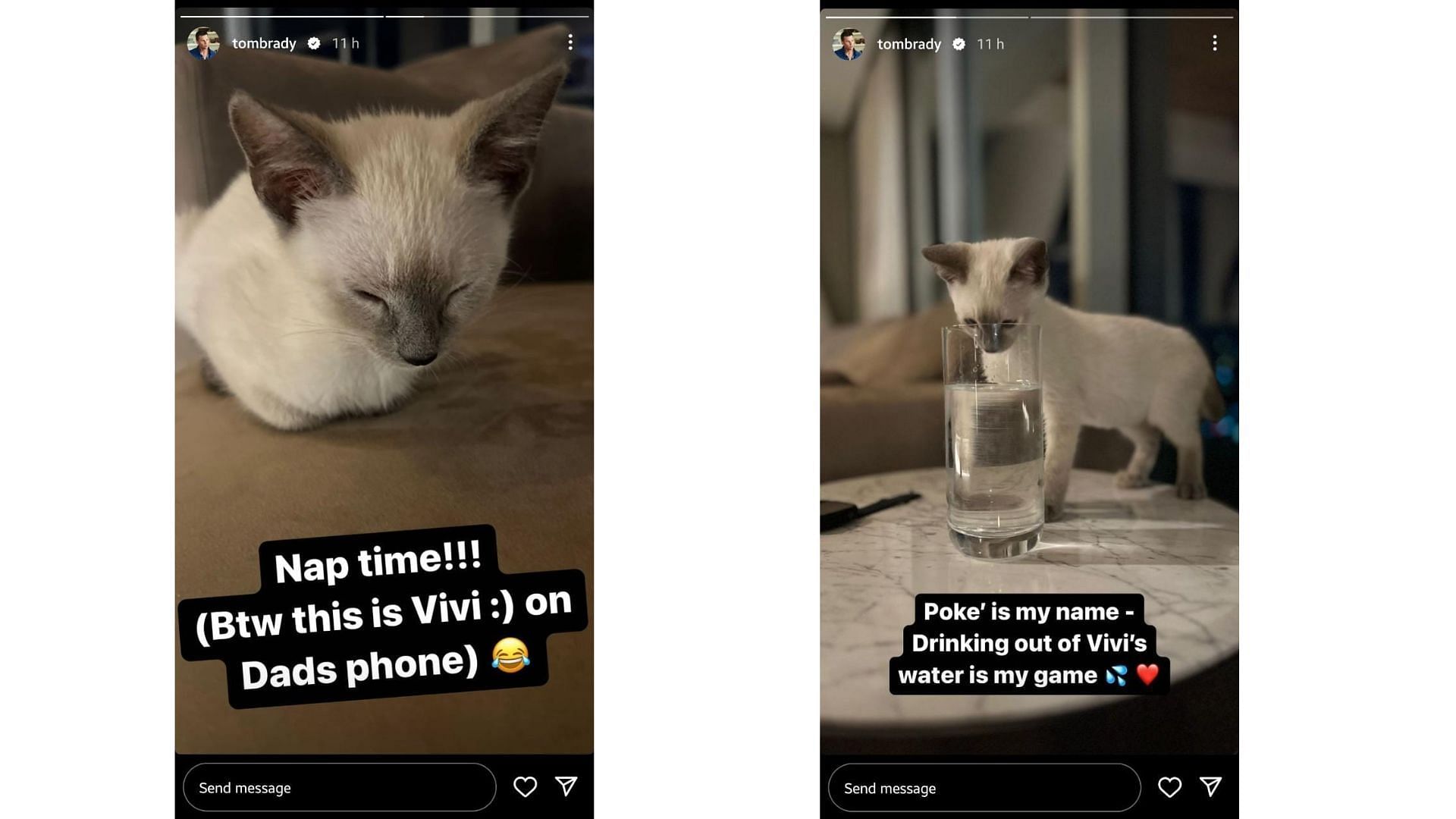 Tom Brady&#039;s daughter shares cat photos on IG (Image Credit: @tombrady IG)