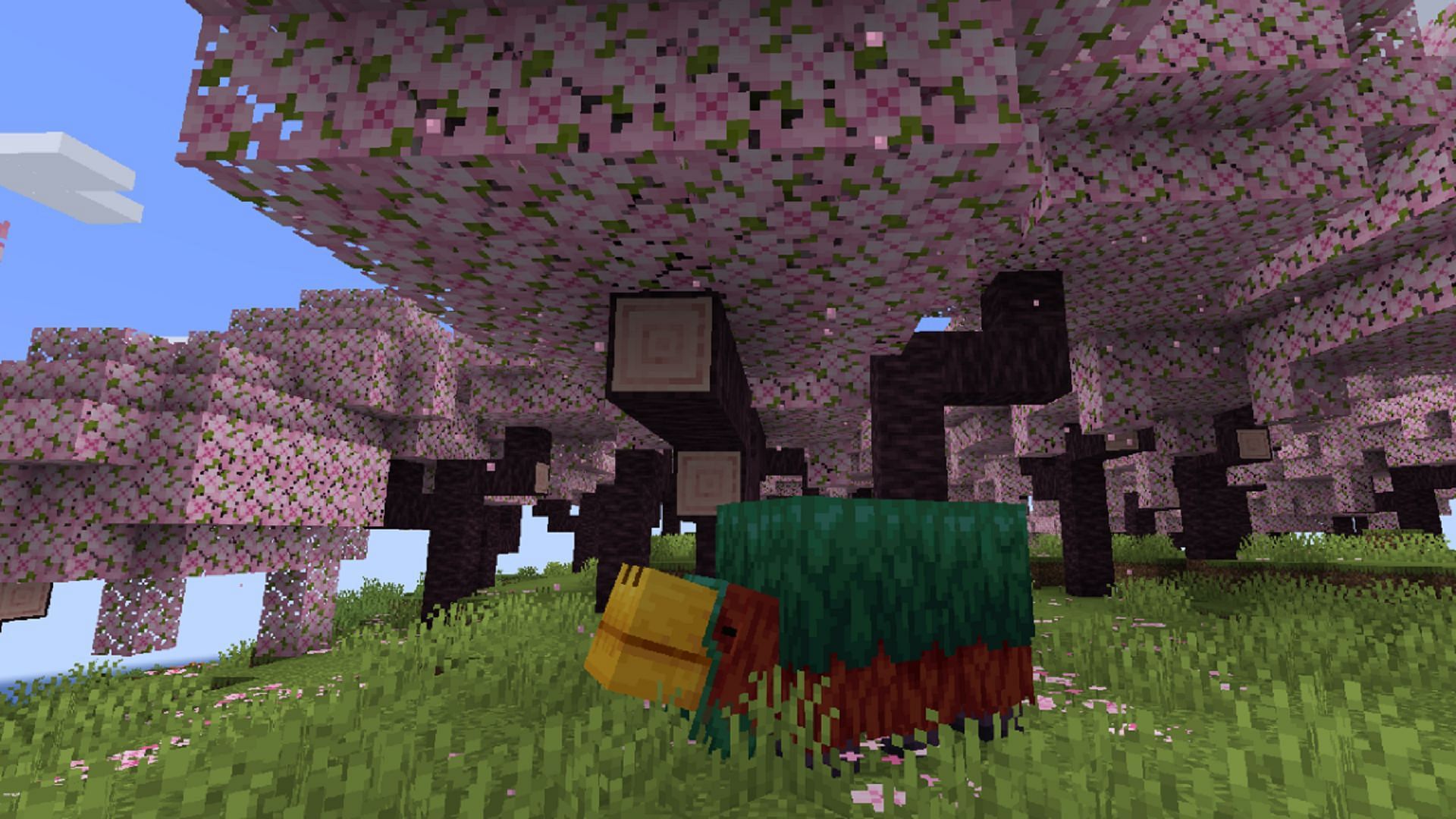 A sniffer roams a cherry grove biome in Minecraft