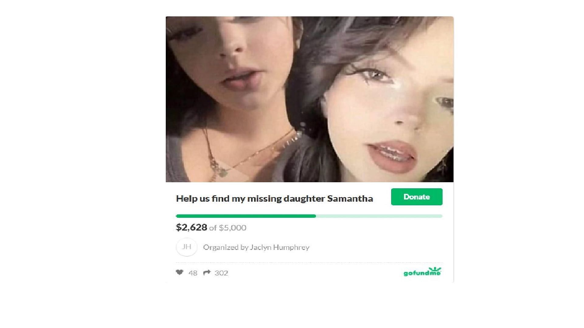 GoFundMe to find the teenager (Image via snip from GoFundMe)
