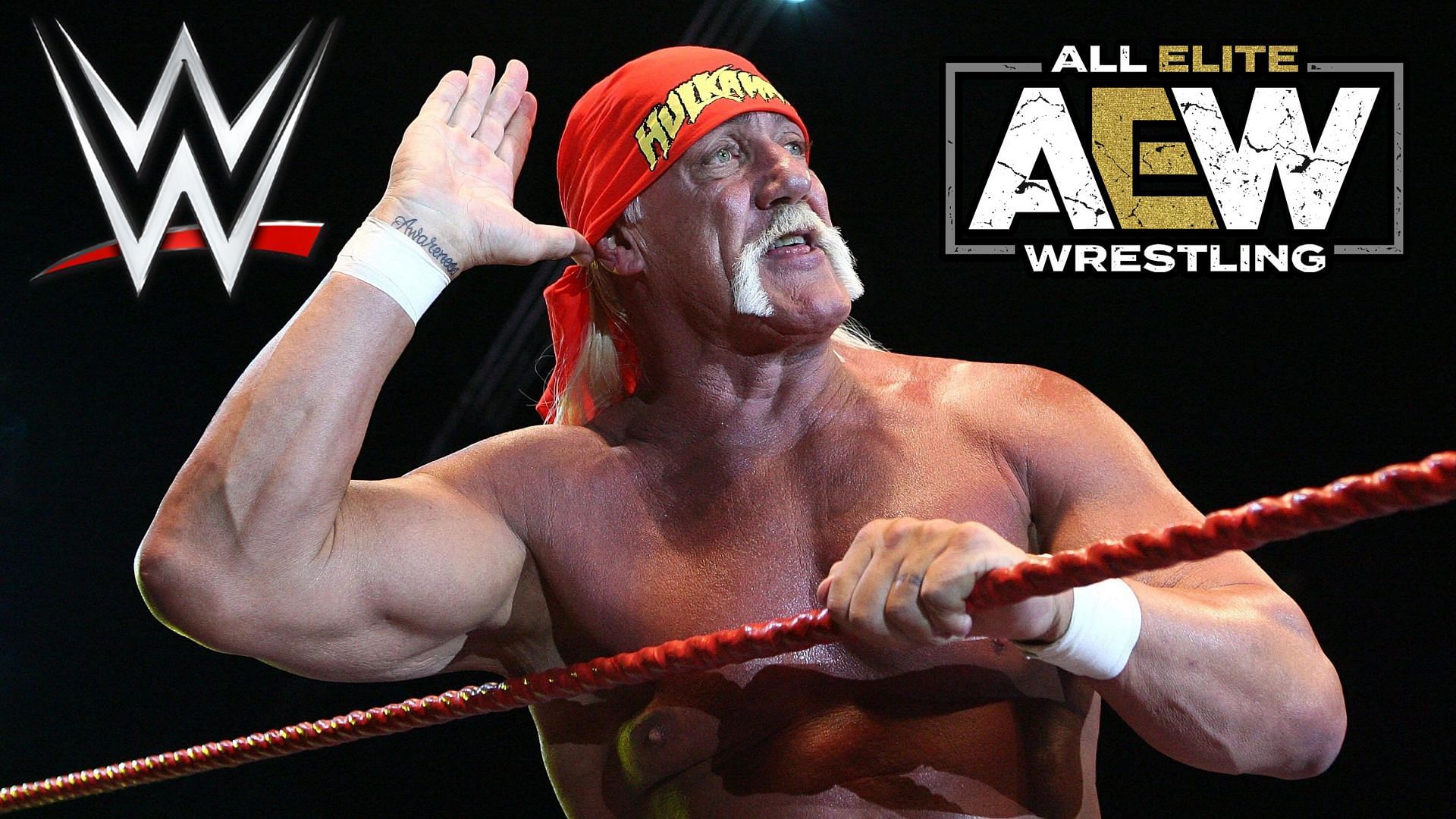 Hulk Hogan is currently retired from pro-wrestling