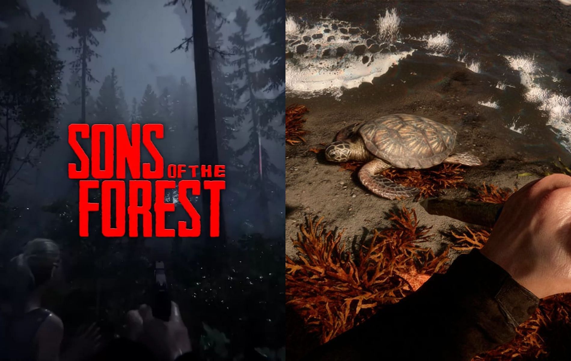 How to obtain and use Turtle Shells in Sons of the Forest