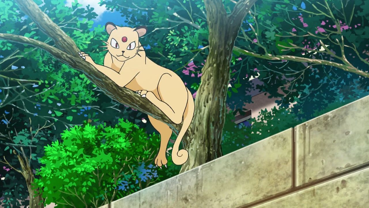 Persian as it appears in the anime (Image via The Pokemon Company)
