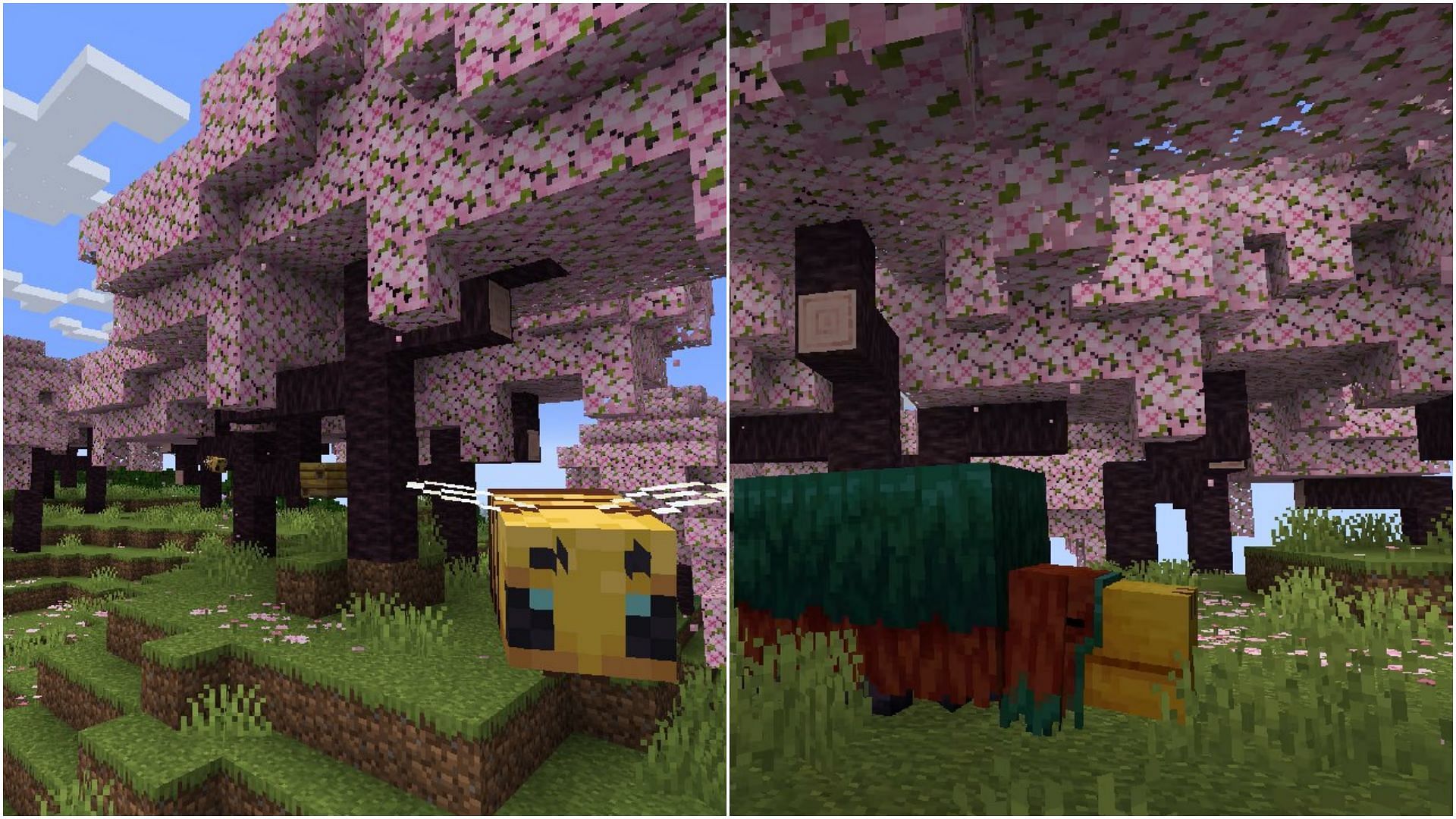 Minecraft 1.20 update will feature a new cherry blossom biome (Image via Sportskeeda)