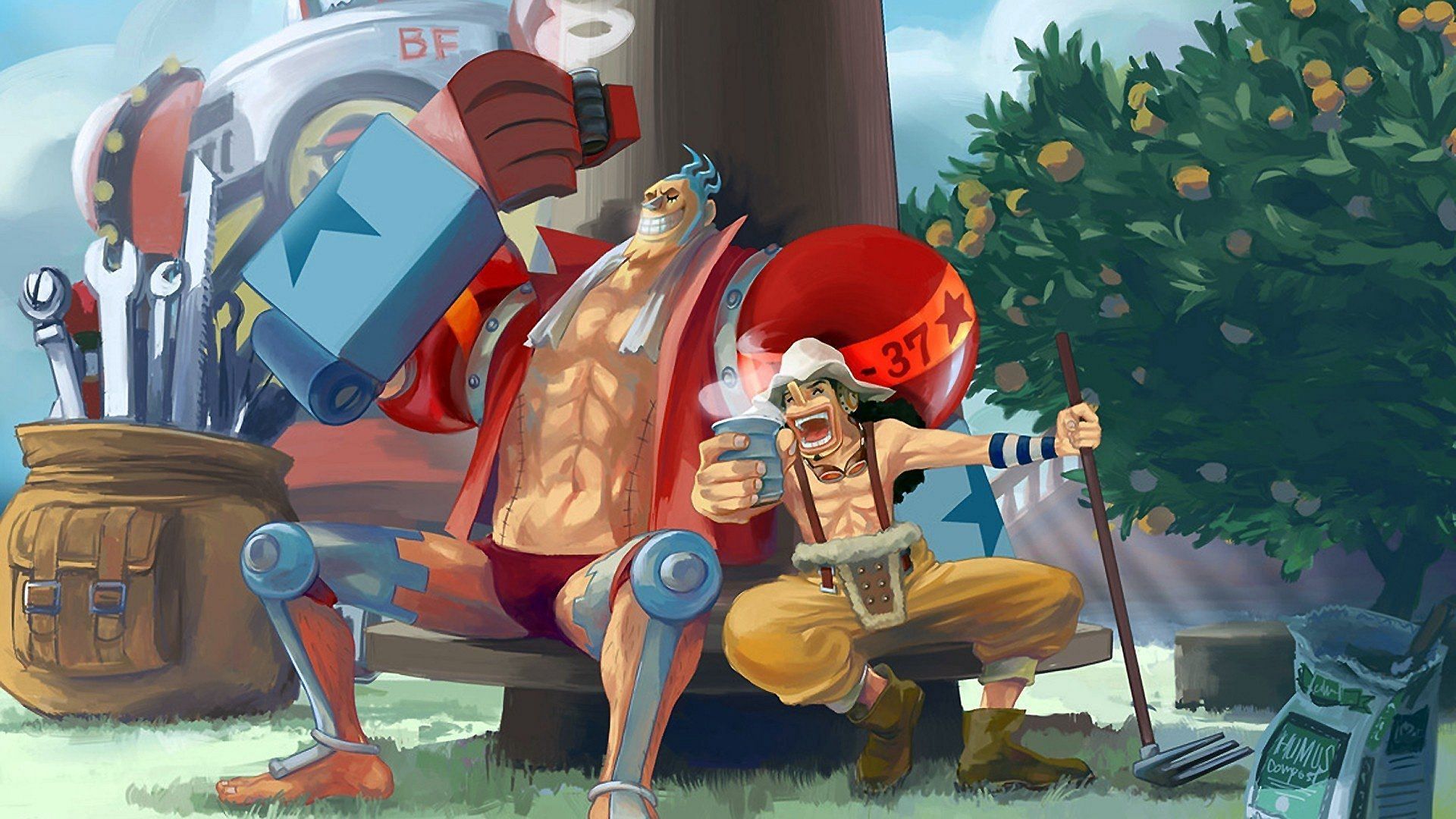Franky and Usop as seen in One Piece (Image via Eiichiro Oda/Shueisha, One Piece)