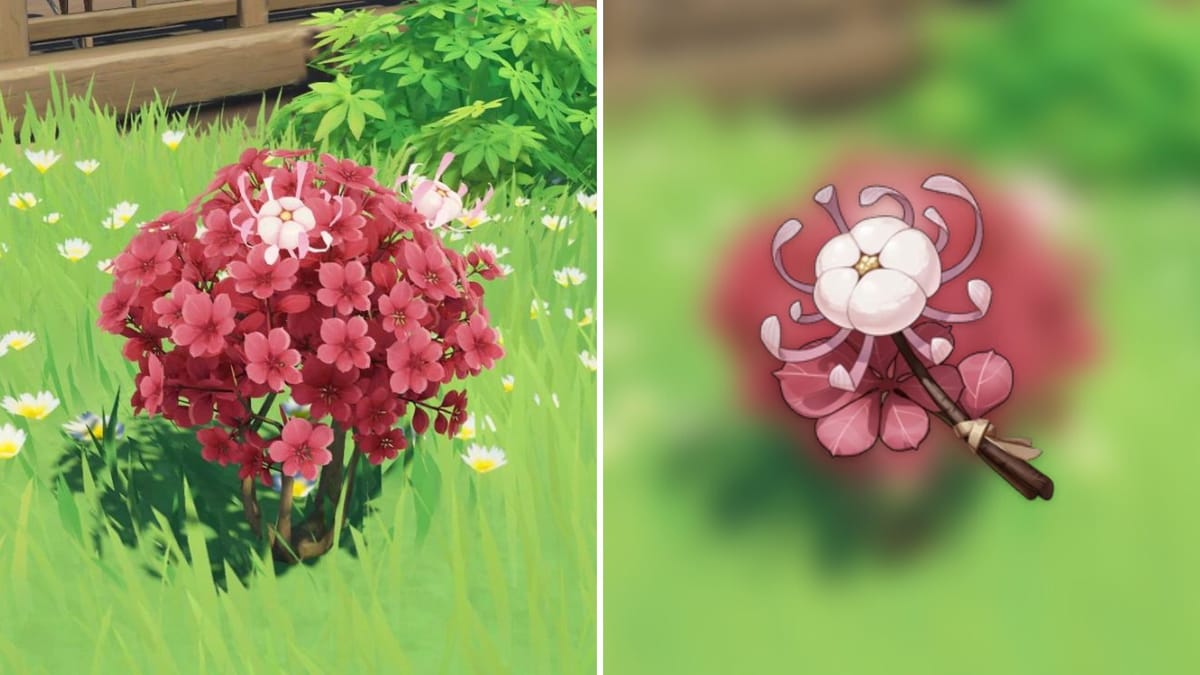 All Genshin Impact Silk Flower locations for Hu Tao