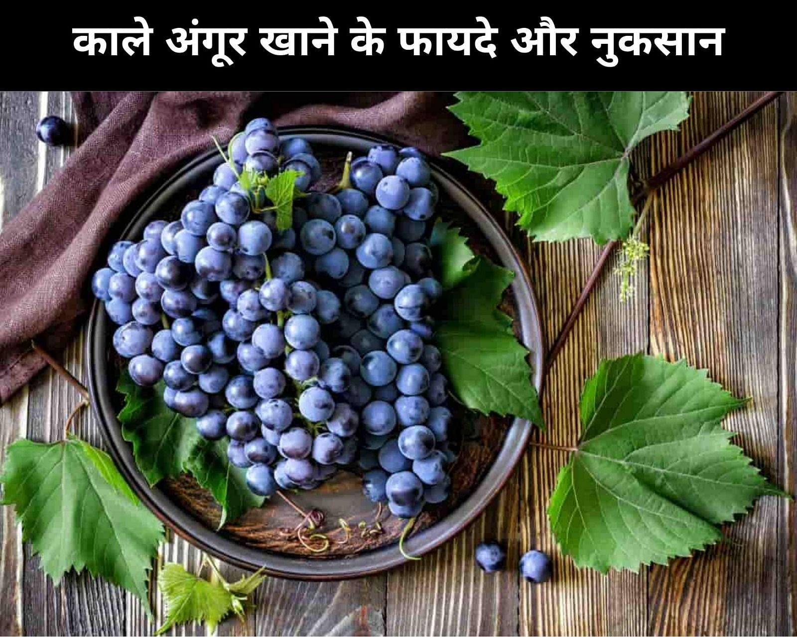 काले अंगूर खाने के फायदे और नुकसान (sportskeeda Hindi) 
