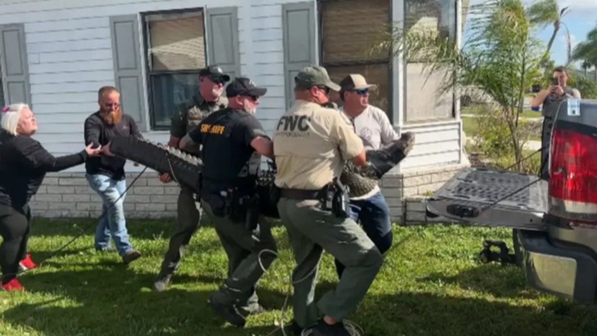 An alligator attacked and killed 85-year-old Florida woman. (Image via St. Lucie County Sheriff)