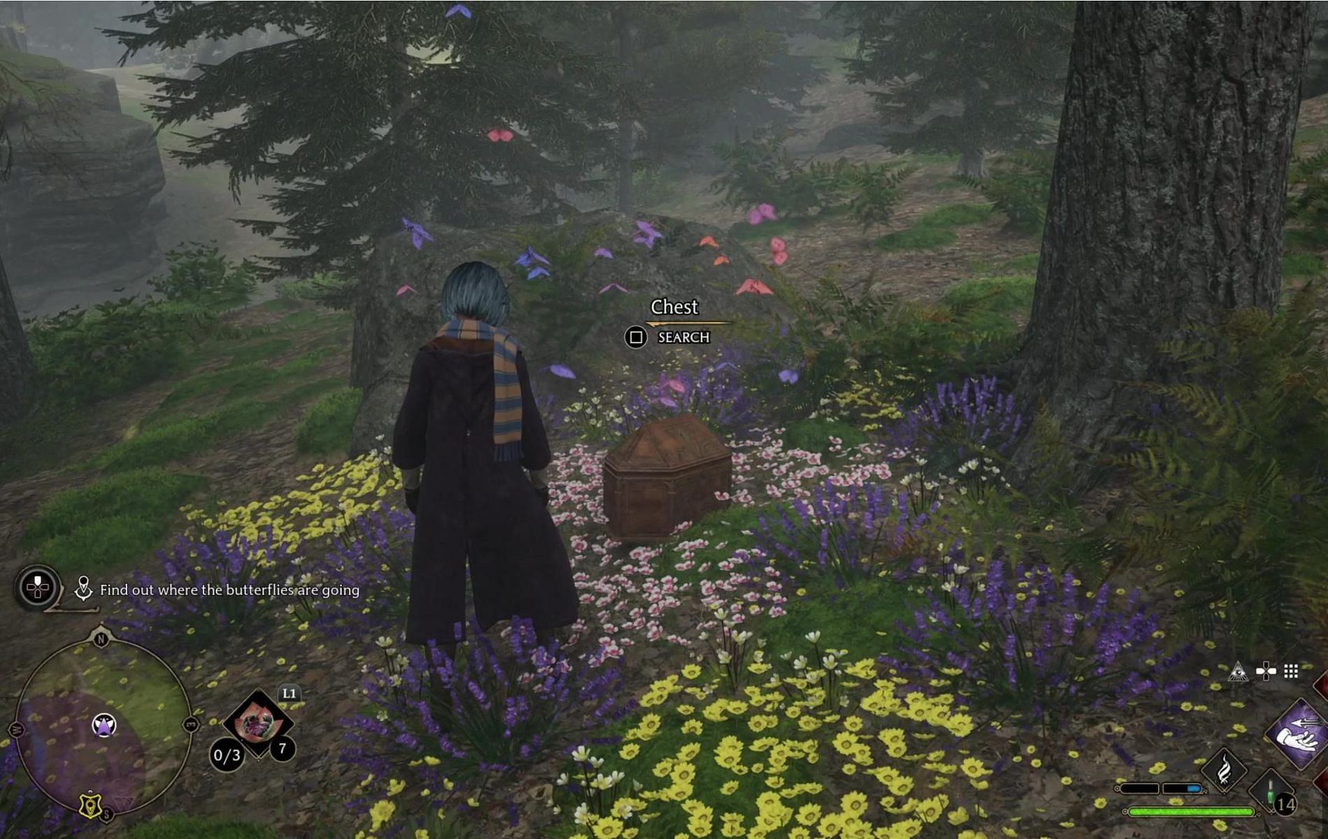 Follow the Butterflies is one of the easiest side-quests in Hogwarts Legacy, but it&rsquo;s a significant one nonetheless (Image via Avalanche Software)