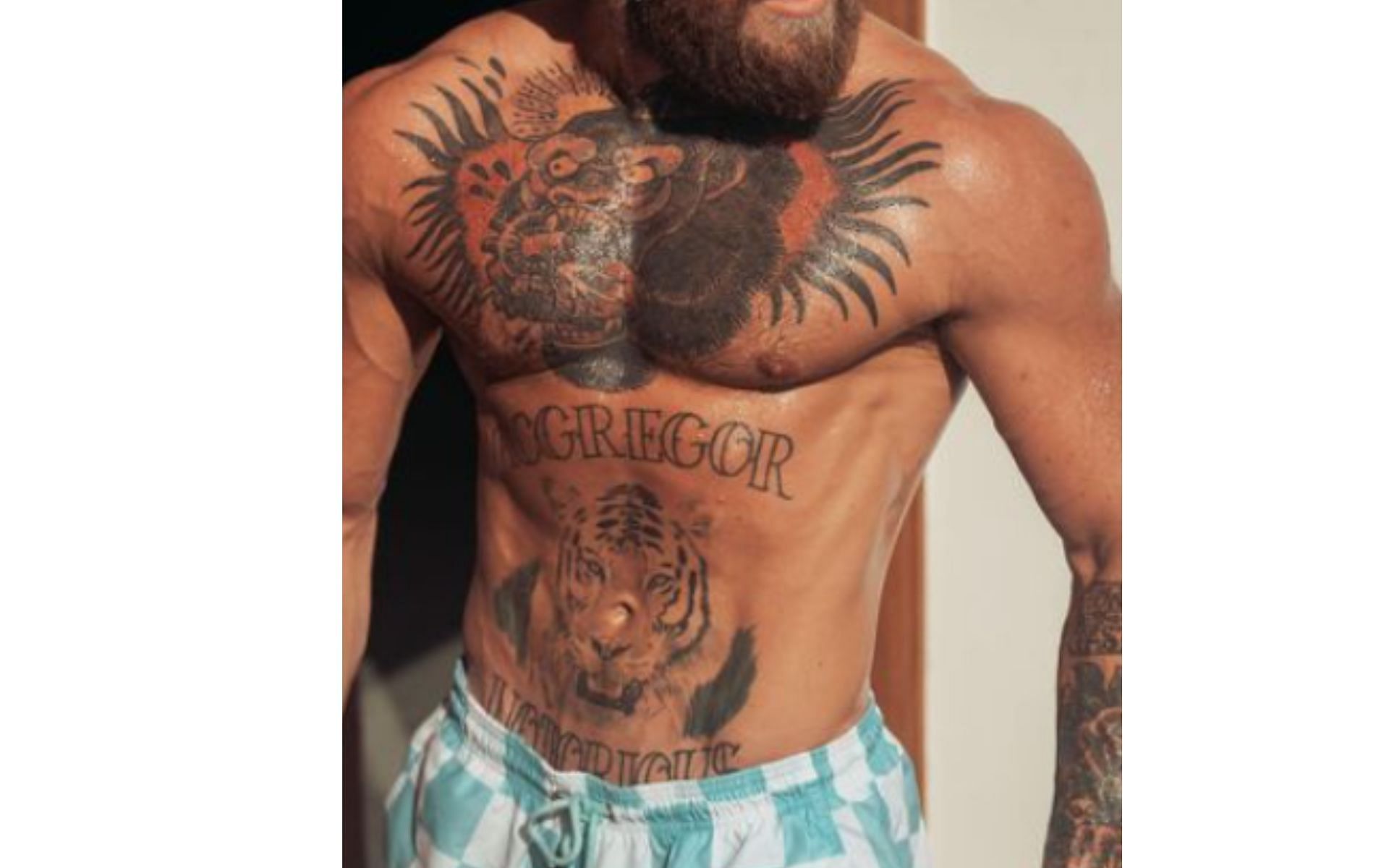 Big Lens store Conor McGregor Chest Tattoo Clean India | Ubuy