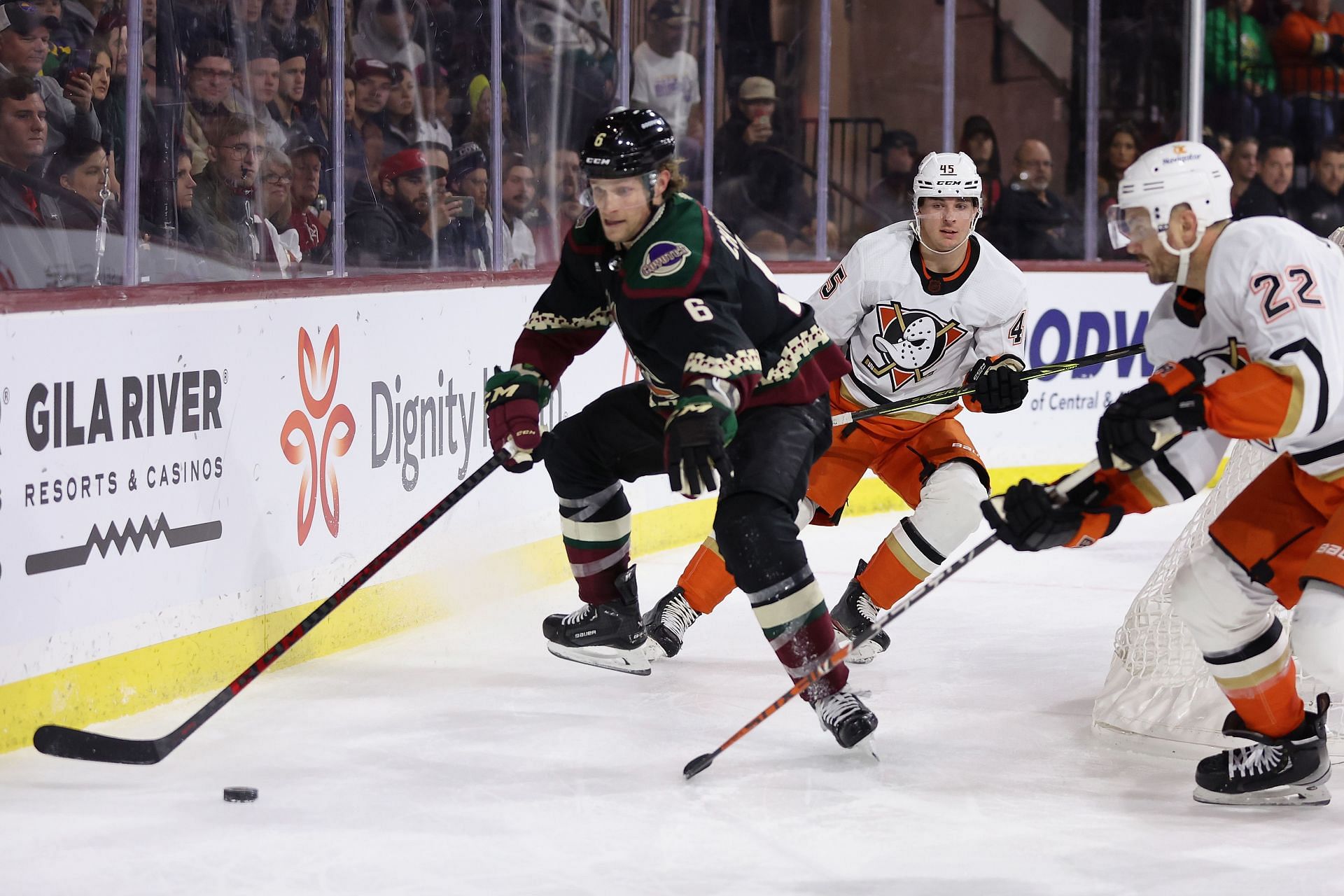 Anaheim Ducks v Arizona Coyotes