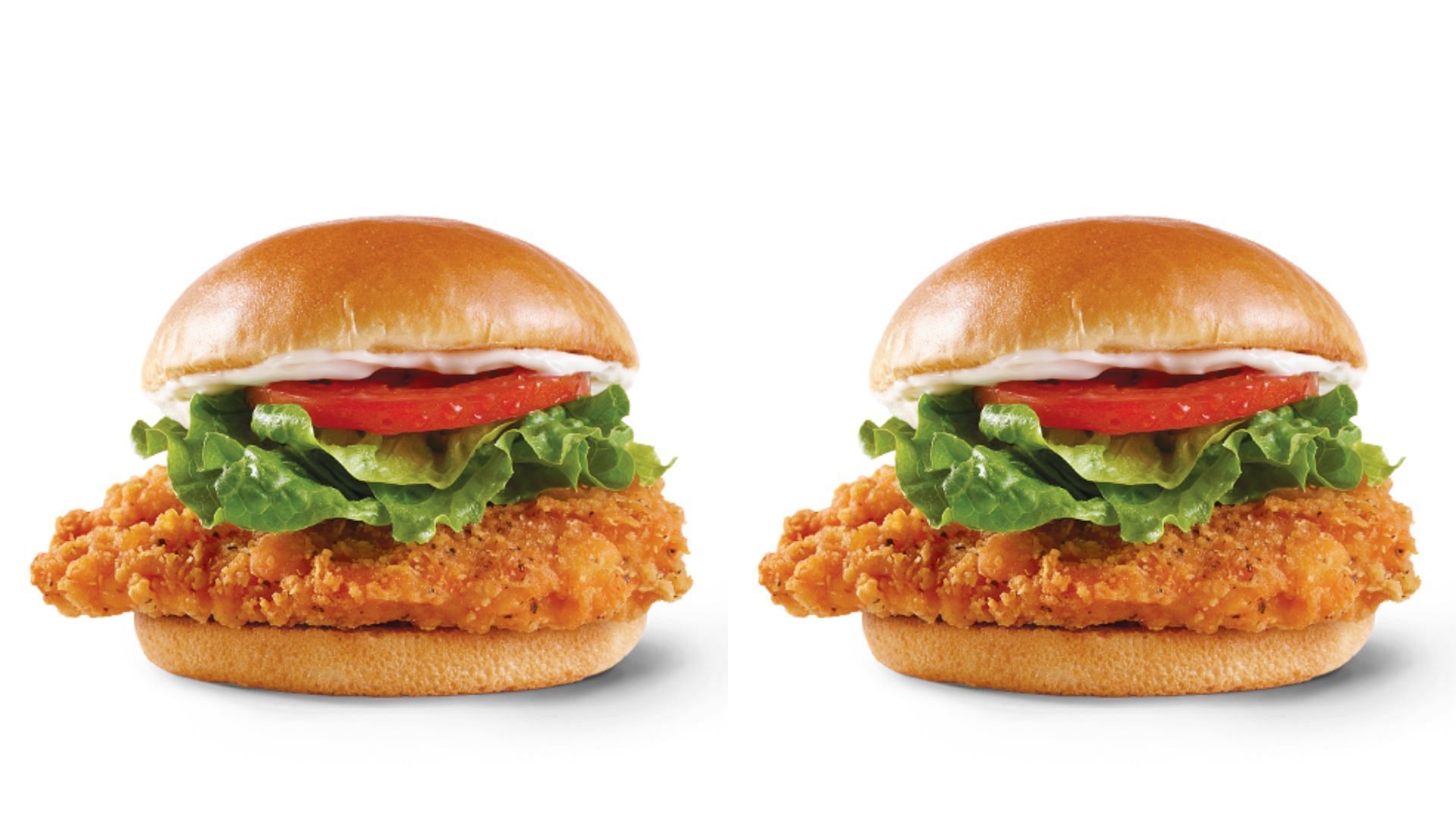 Choose between a spicy or classic version of the mouth-watering Chicken Sandwiches (Image via Wendy&#039;s)