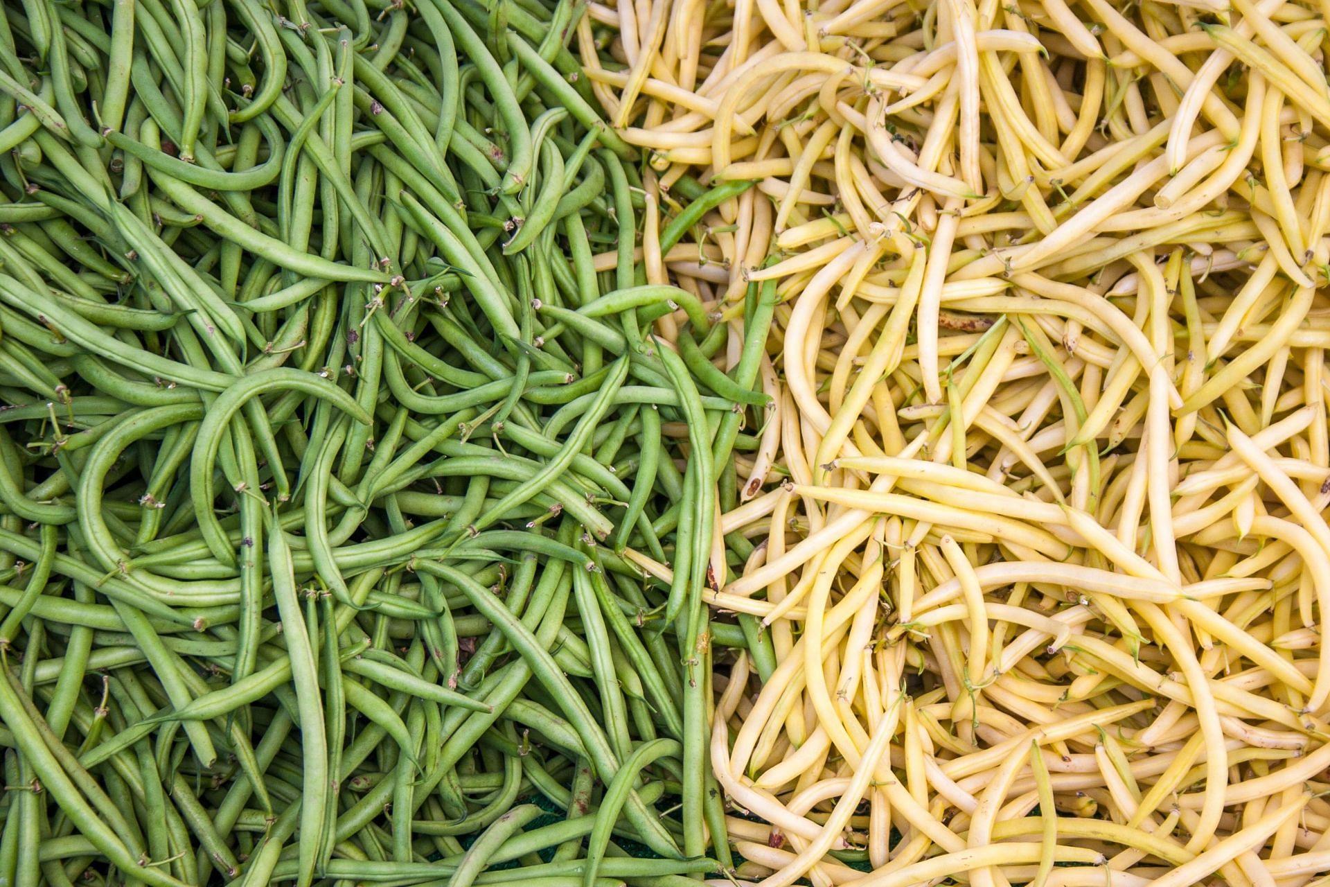 Beans is a great addition to diet and one of the vegetables high in fiber. (Image via Unsplash / Jonathan Mast)