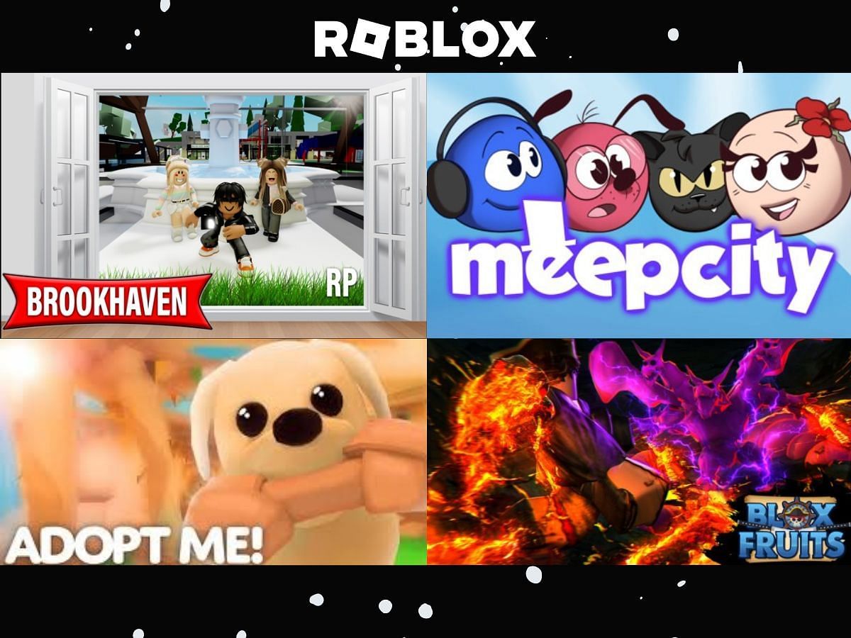 Becoming the most FAMOUS ROBLOX player ever 