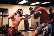 Merab Dvalishvili Steps Up Training As Huge Petr Yan Clash Edges Near Merab Dvalishvili Steps Up Training As Huge Petr Yan Clash Edges Near