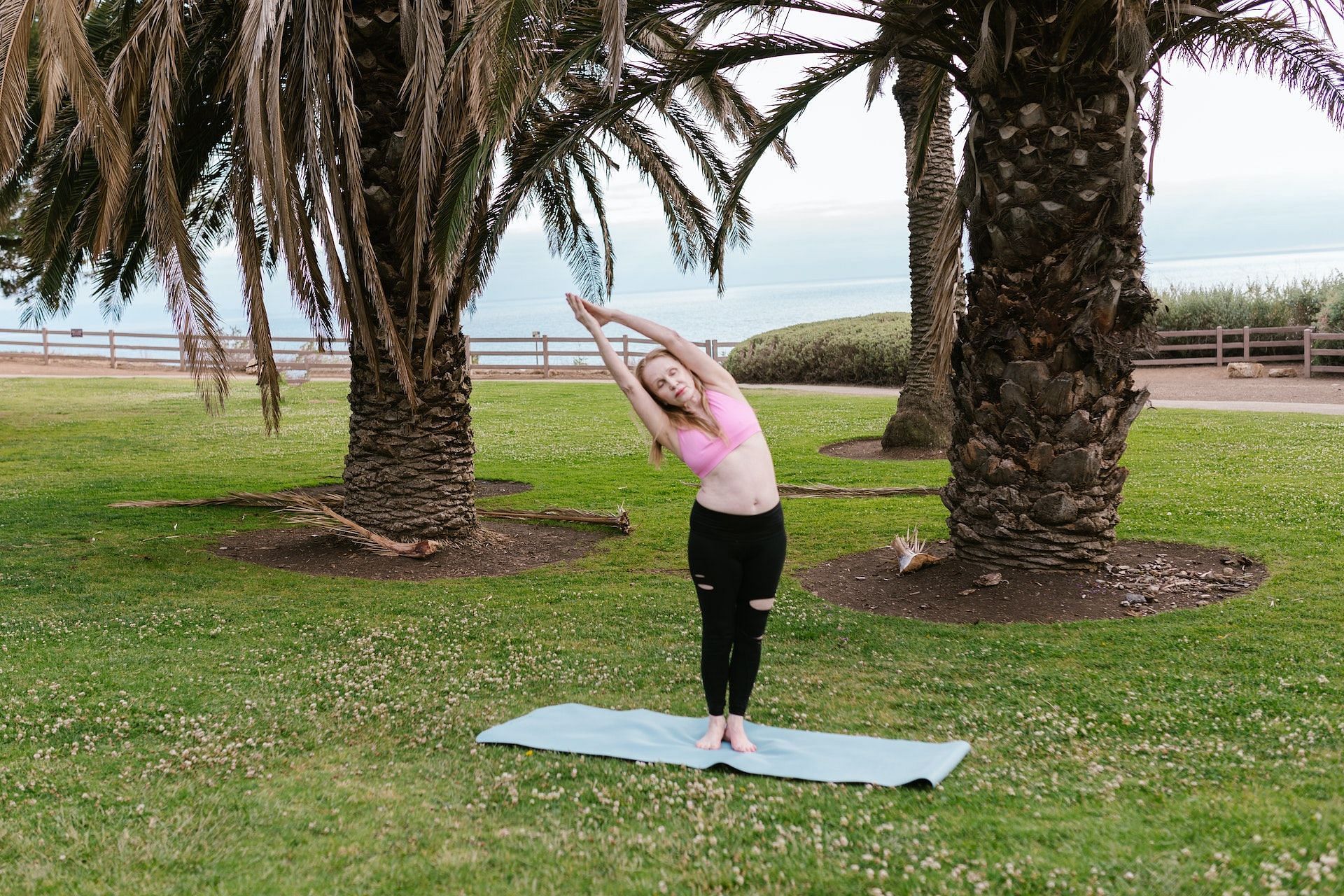 Basic Yoga Poses to Begin Your Yoga Journey