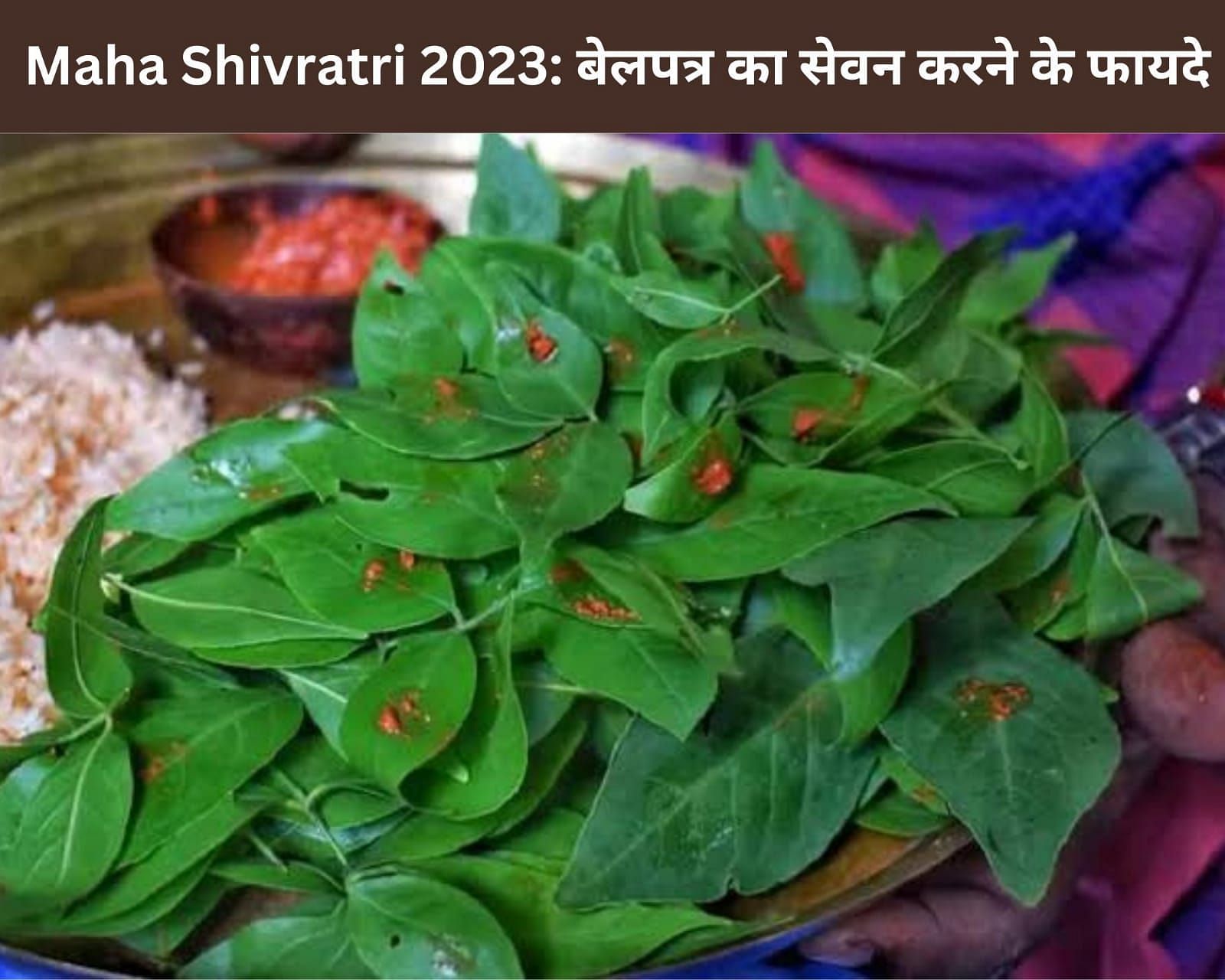 Maha Shivratri 2023: बेलपत्र का सेवन करने के फायदे (sportskeeda Hindi) 