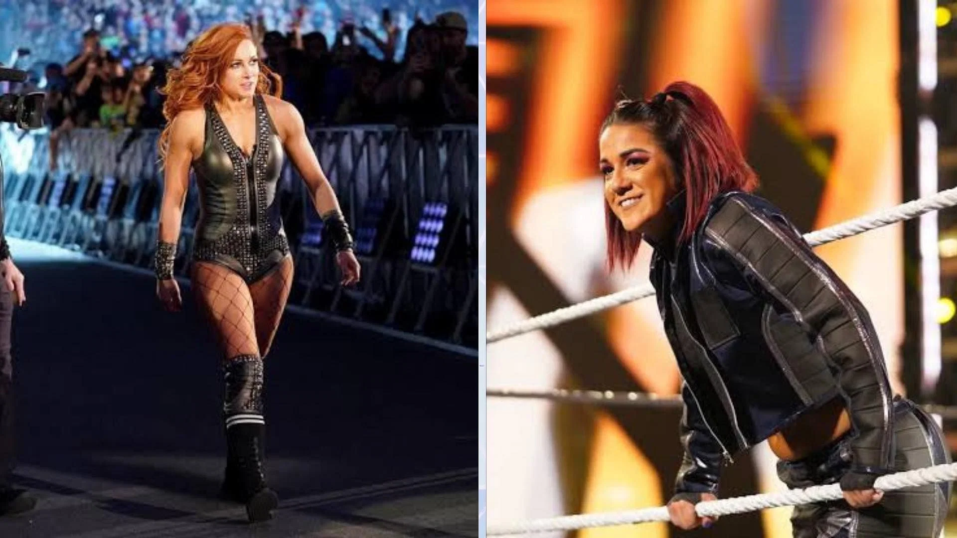 Becky Lynch and Bayley recently faced off against one another inside a Steel Cage