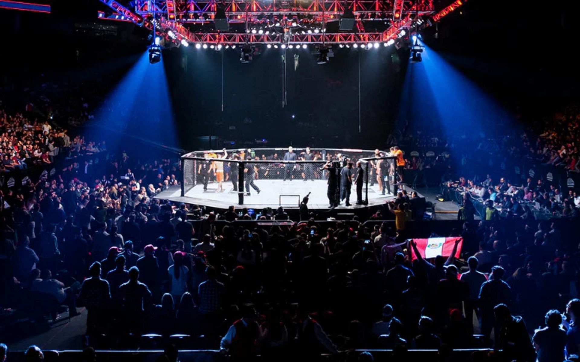 Ultimate Fighting Championship (UFC) Octagon