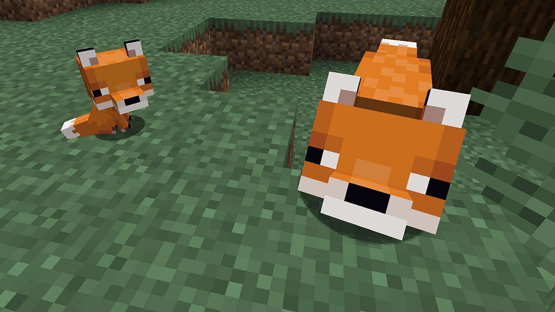 Minecraft Foxes (Image via Rock Paper Shotgun)