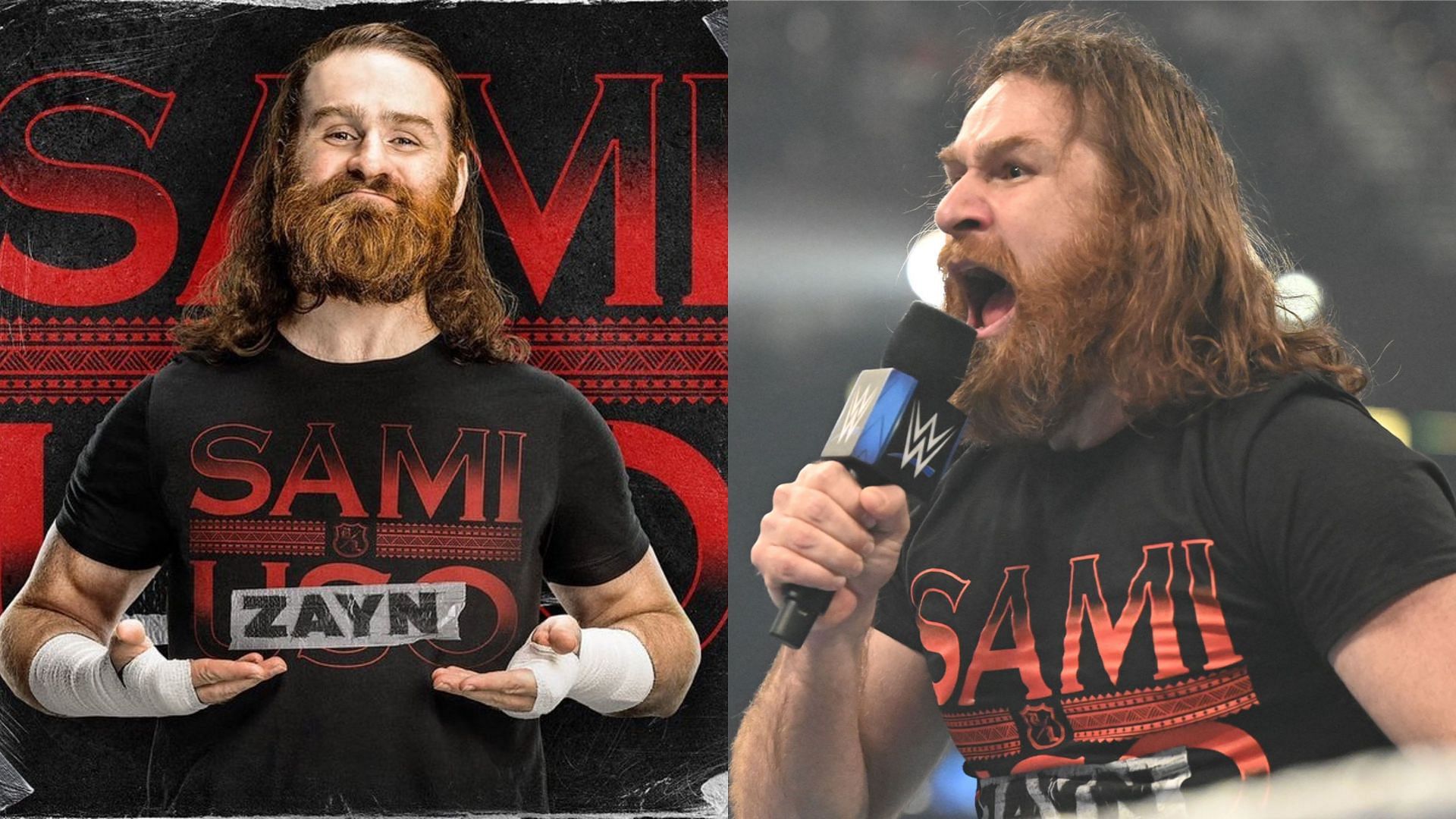 Sami Zayn will face Roman Reigns at WWE Elimination Chamber