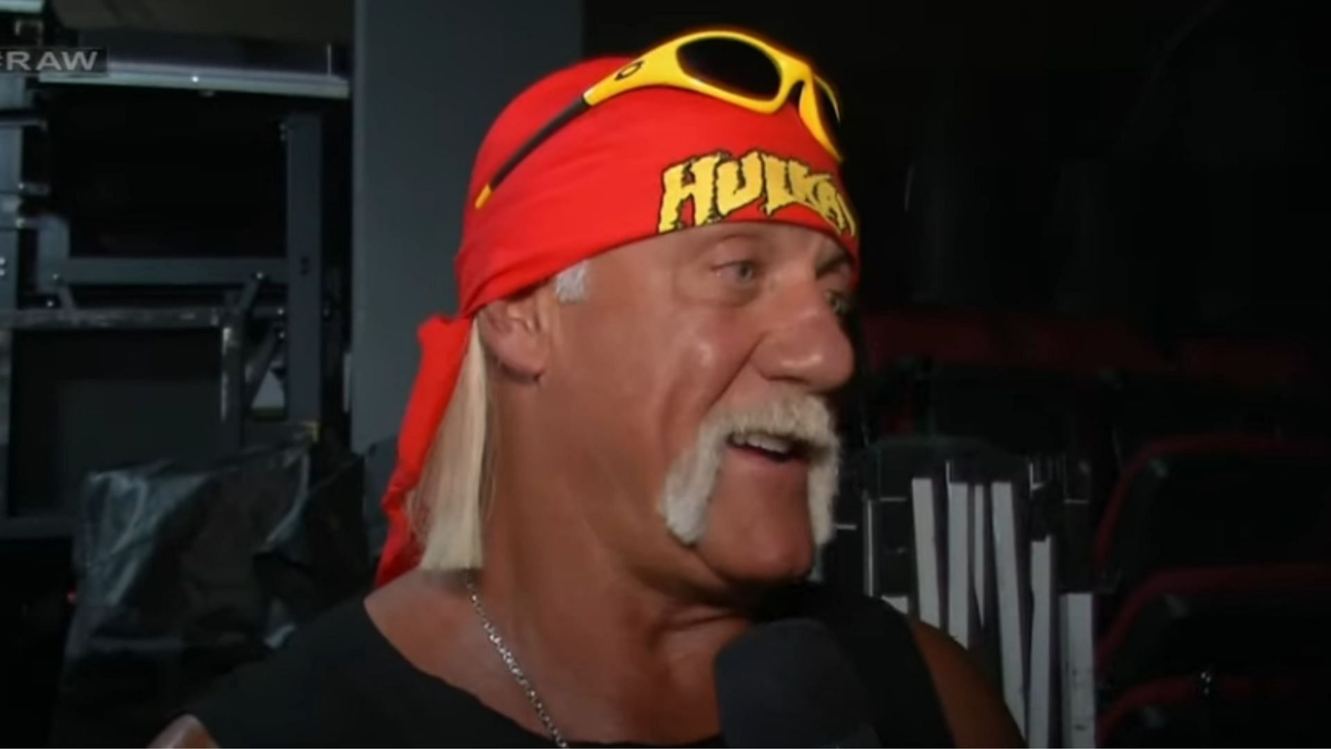 Hulk Hogan was WWE
