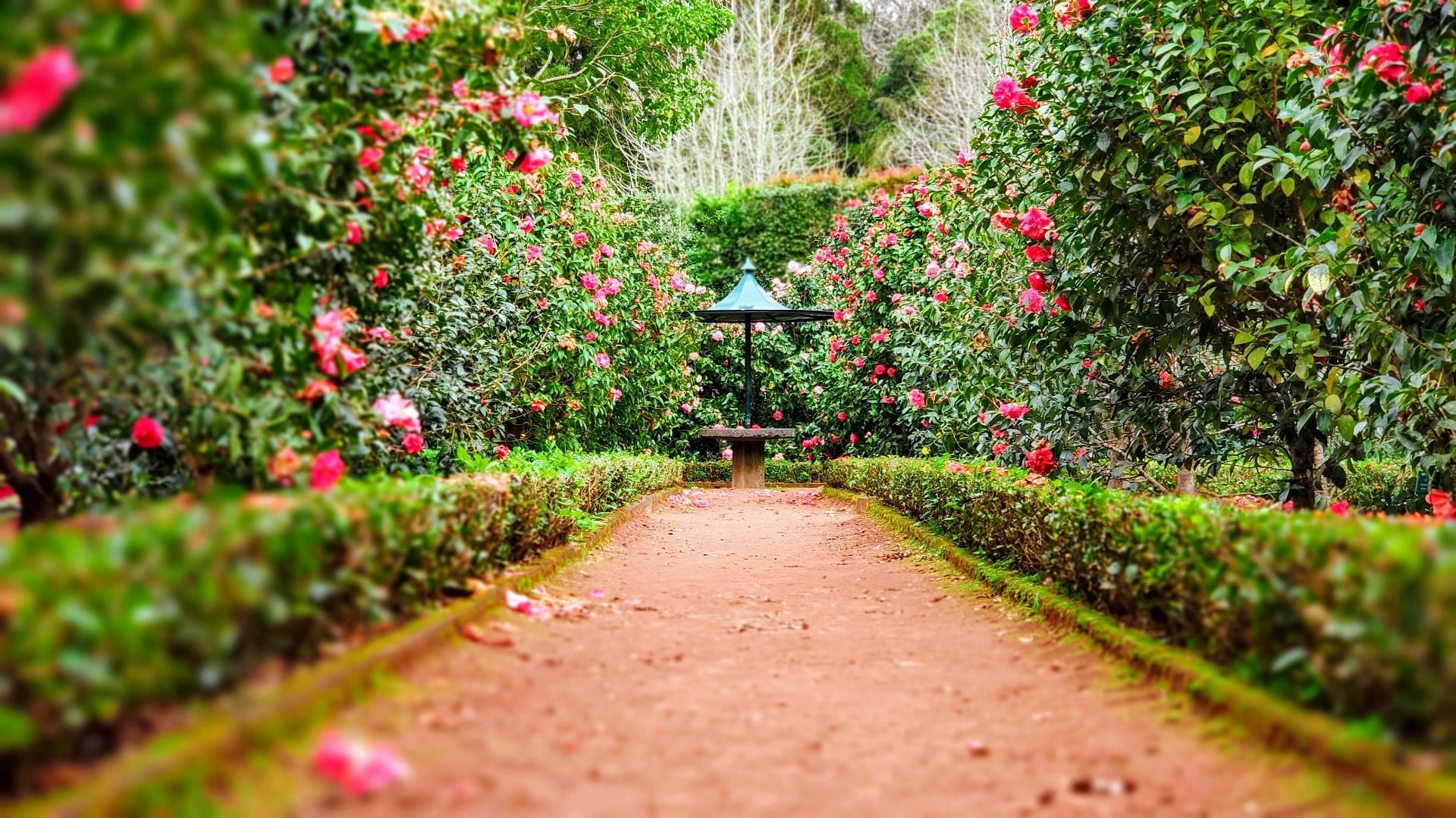 If you&#039;re dealing with anxiety and stress, trying spending some time in nature. (Image via Unsplash/Ignacio Correia)