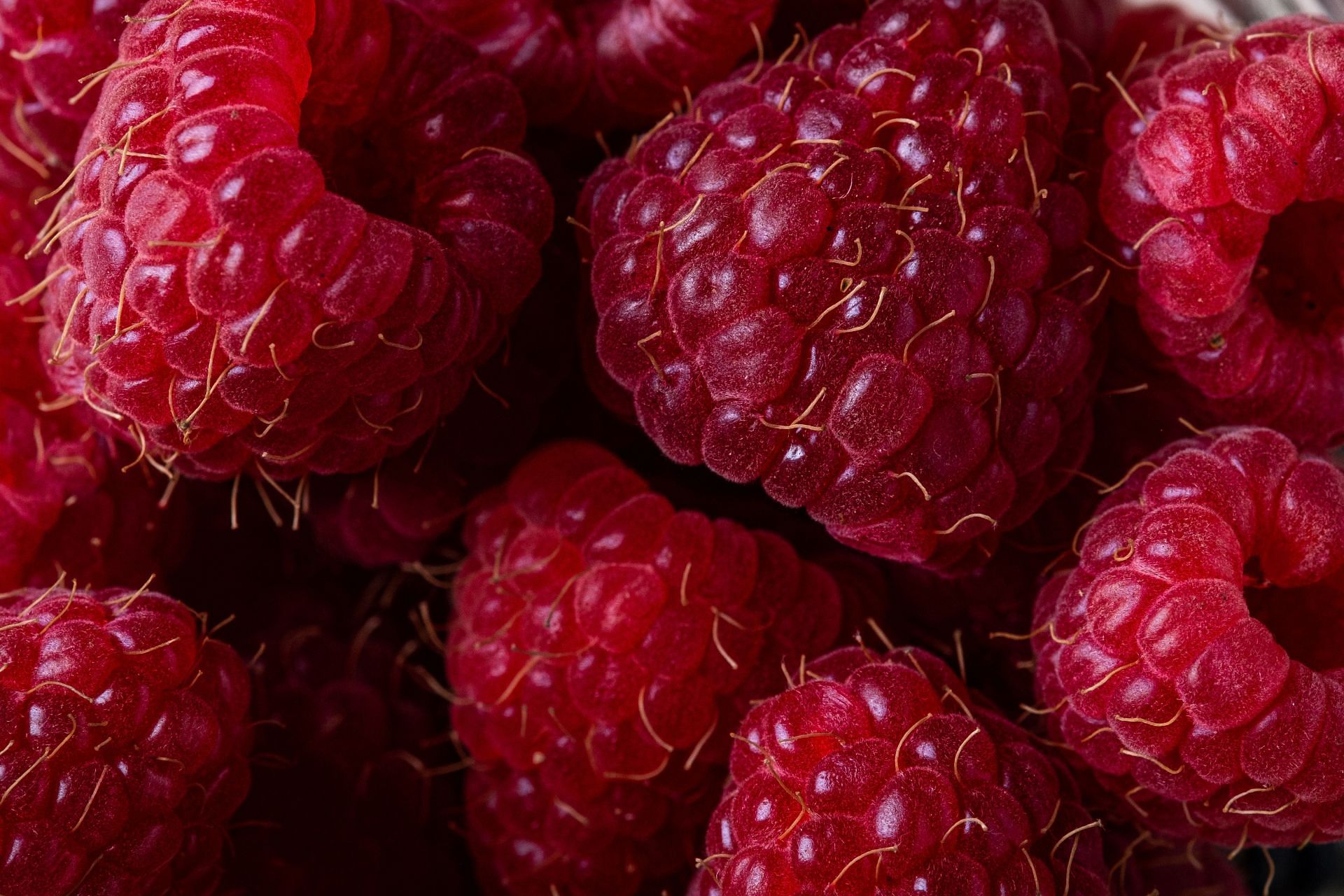 Raspberries are high in dietary fibers. (Image via Pexels/Rodion Kutsaiev)