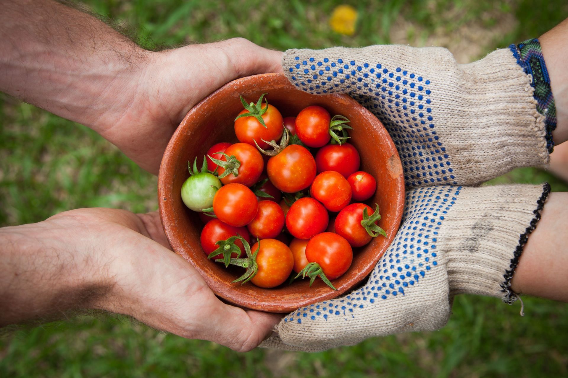 Tomatoes are also good for glowing skin. (Image via Unsplash/Elaine Casap)
