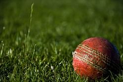 BB-W vs BW-W Dream11 Prediction: Fantasy Cricket Tips, Today's Playing 11, Player Stats, Pitch Report for Baroda Women's T20 Challenge