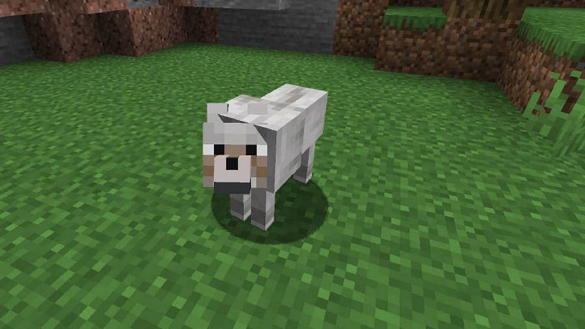 Wolves can be a Minecraft player&#039;s best friend, especially in battle (Image via Mojang)