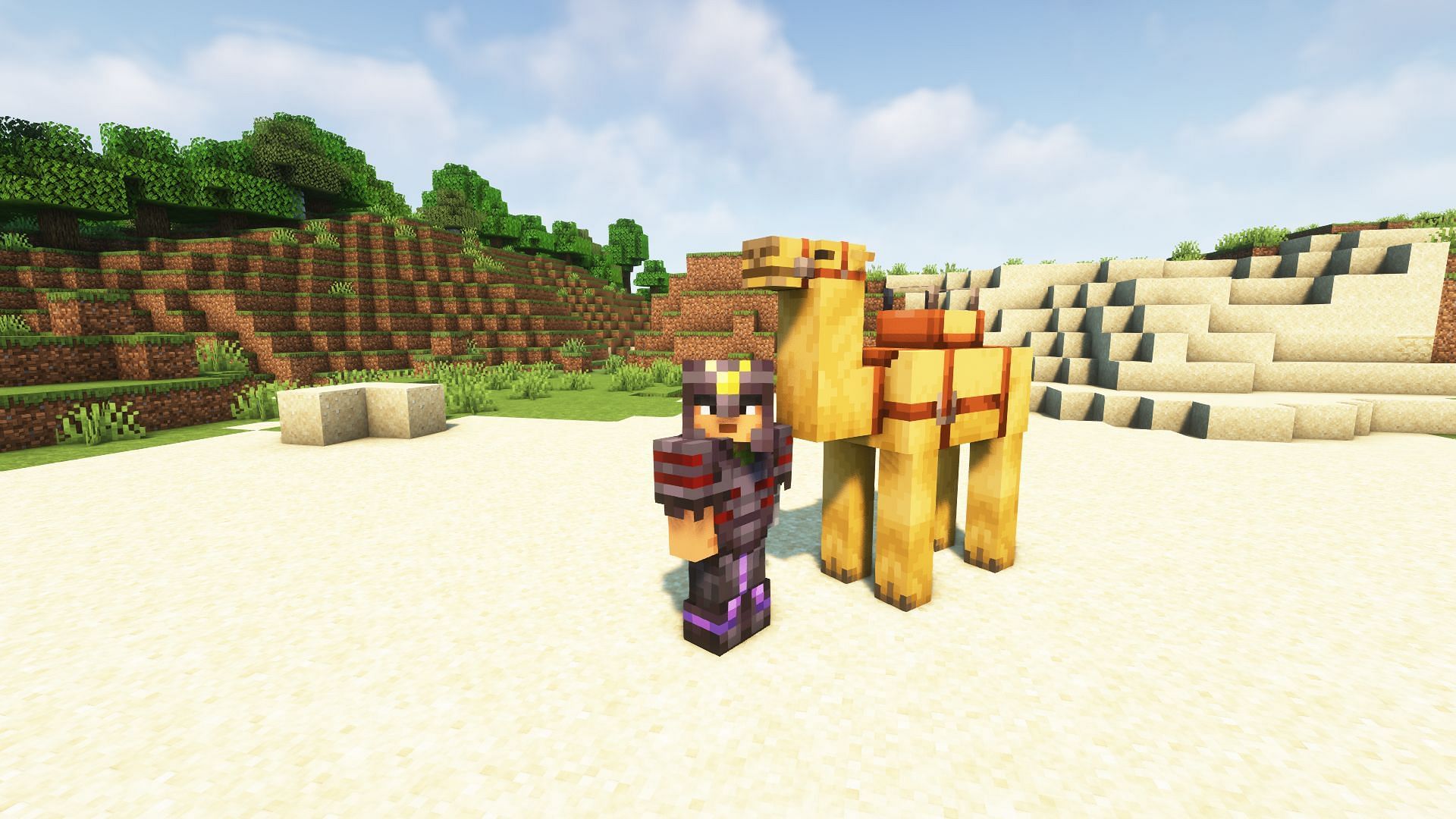 Armor trim and camel in snapshot 23w06a (Image via Mojang)
