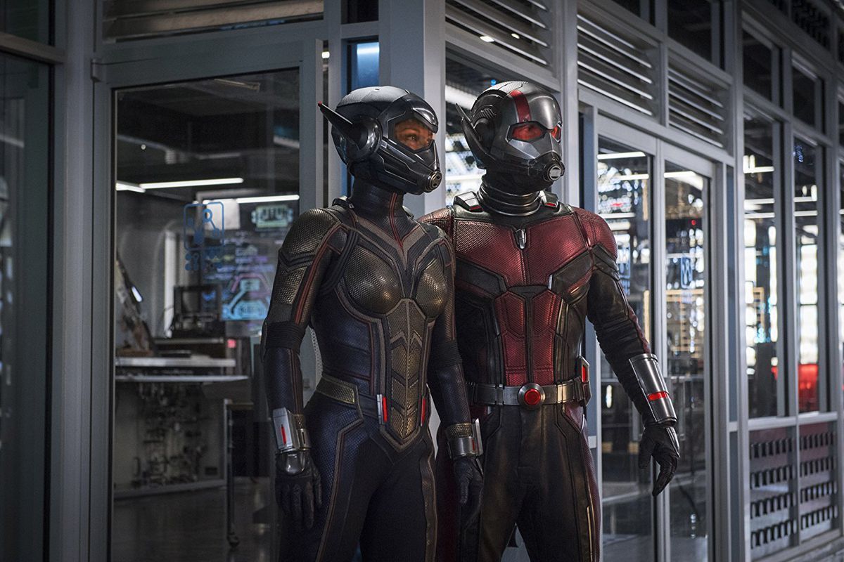 The Wasp is the Ant-Man&#039;s love interest as well as his wife (Image via Marvel)