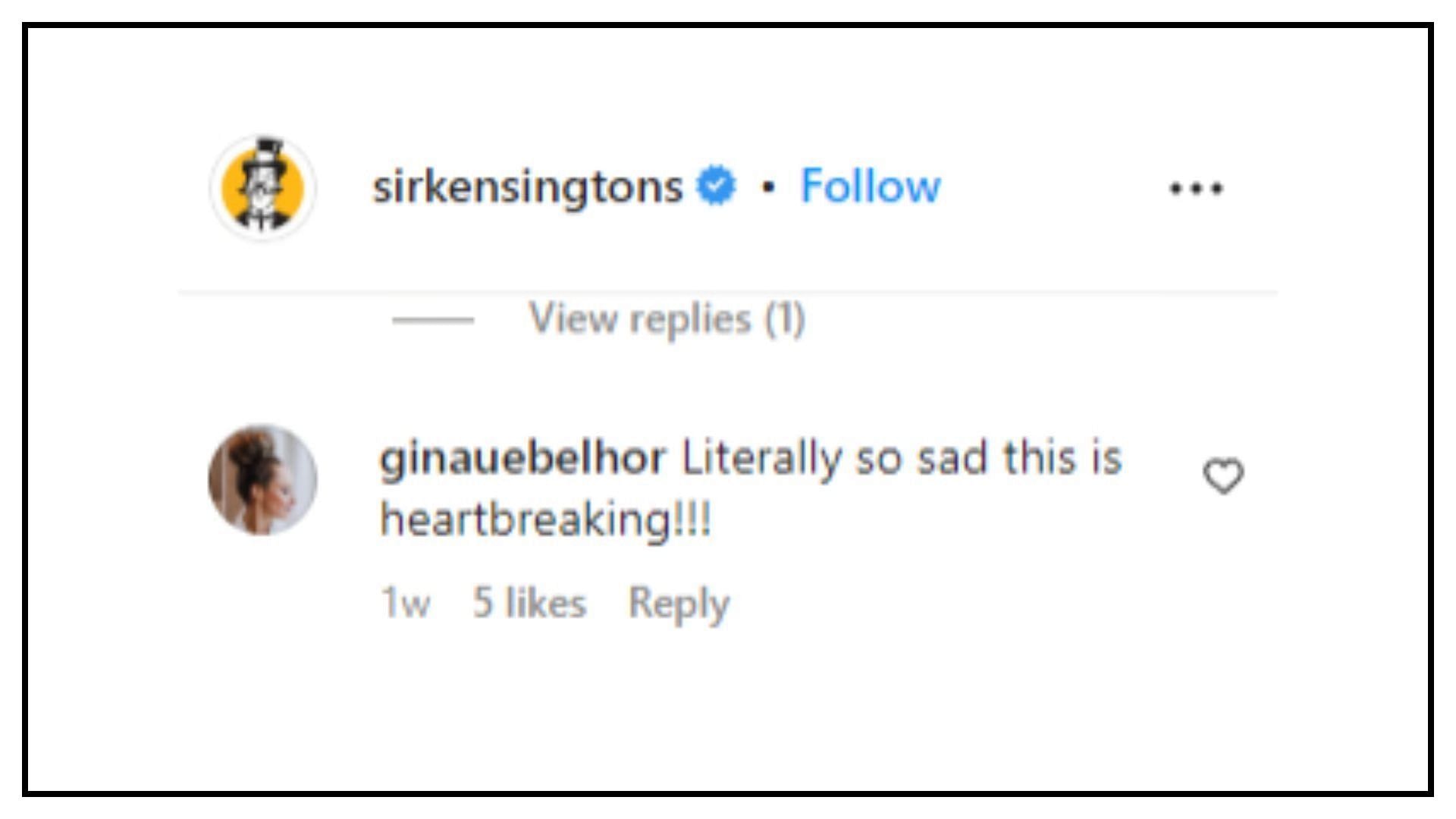 comment by the user @ginauebelhor (Via Instagram)