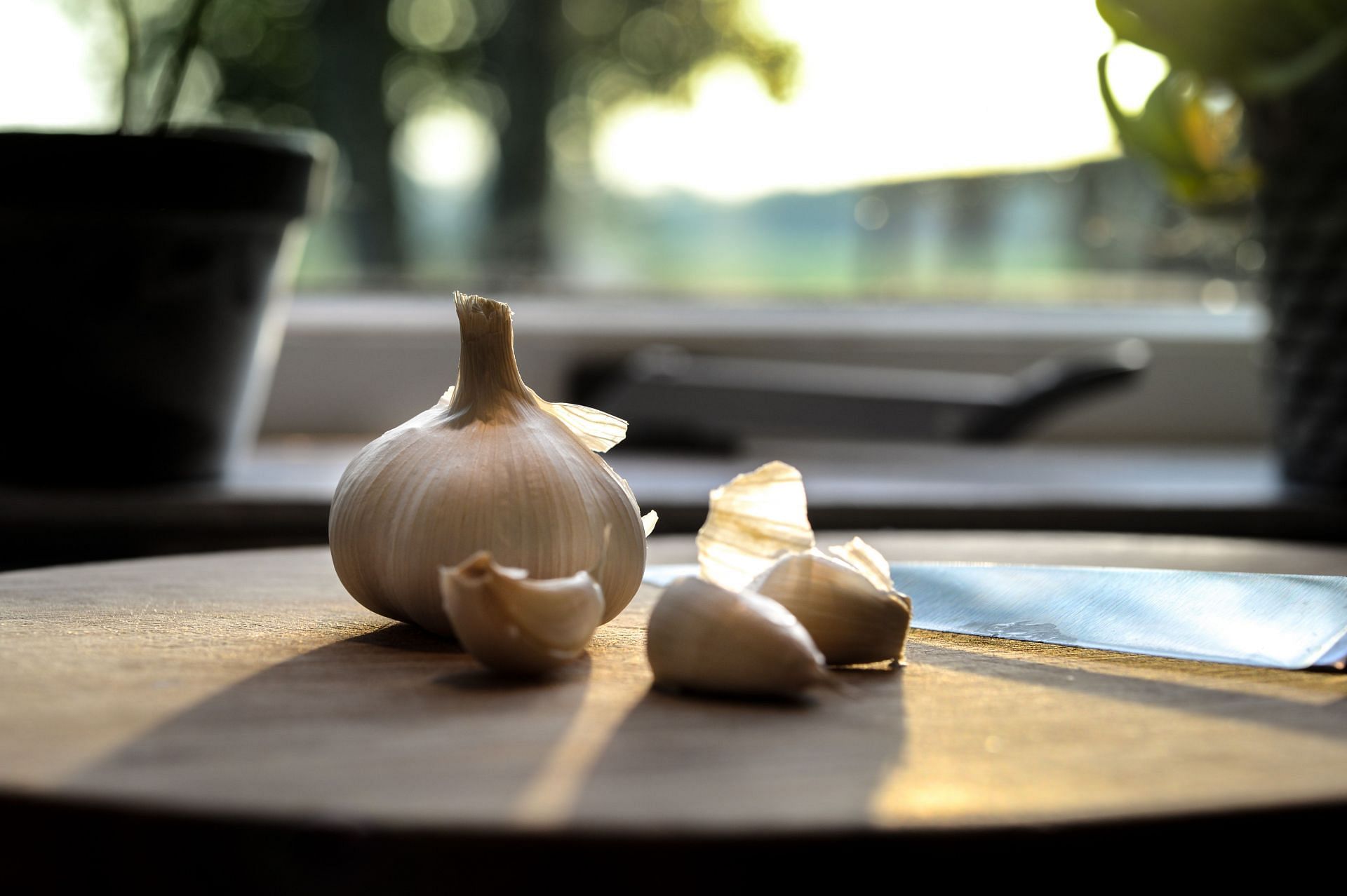 Raw garlic in the morning increases appetite (Image via Pexels/ Skitterphoto)