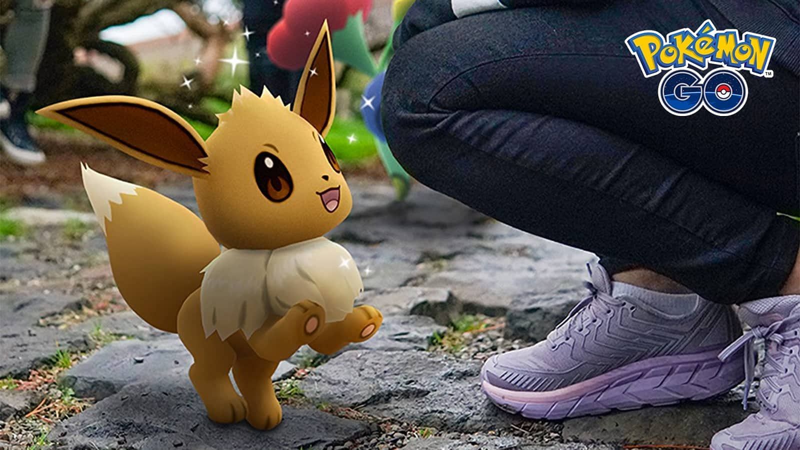 Eevee evolves as a adventure together buddy Pokemon in the game. (Image via Niantic)