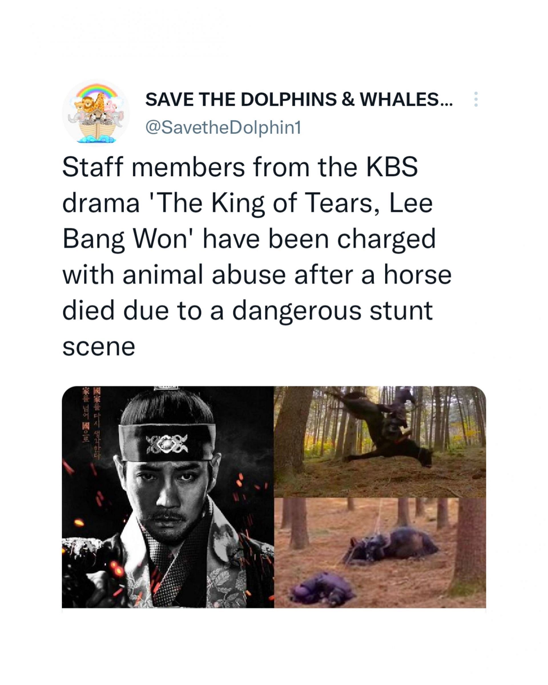 Staff members of KBS Drama 'The King of Tears, Lee Bang-won' charged with  animal abuse after a horse dies due to negligence