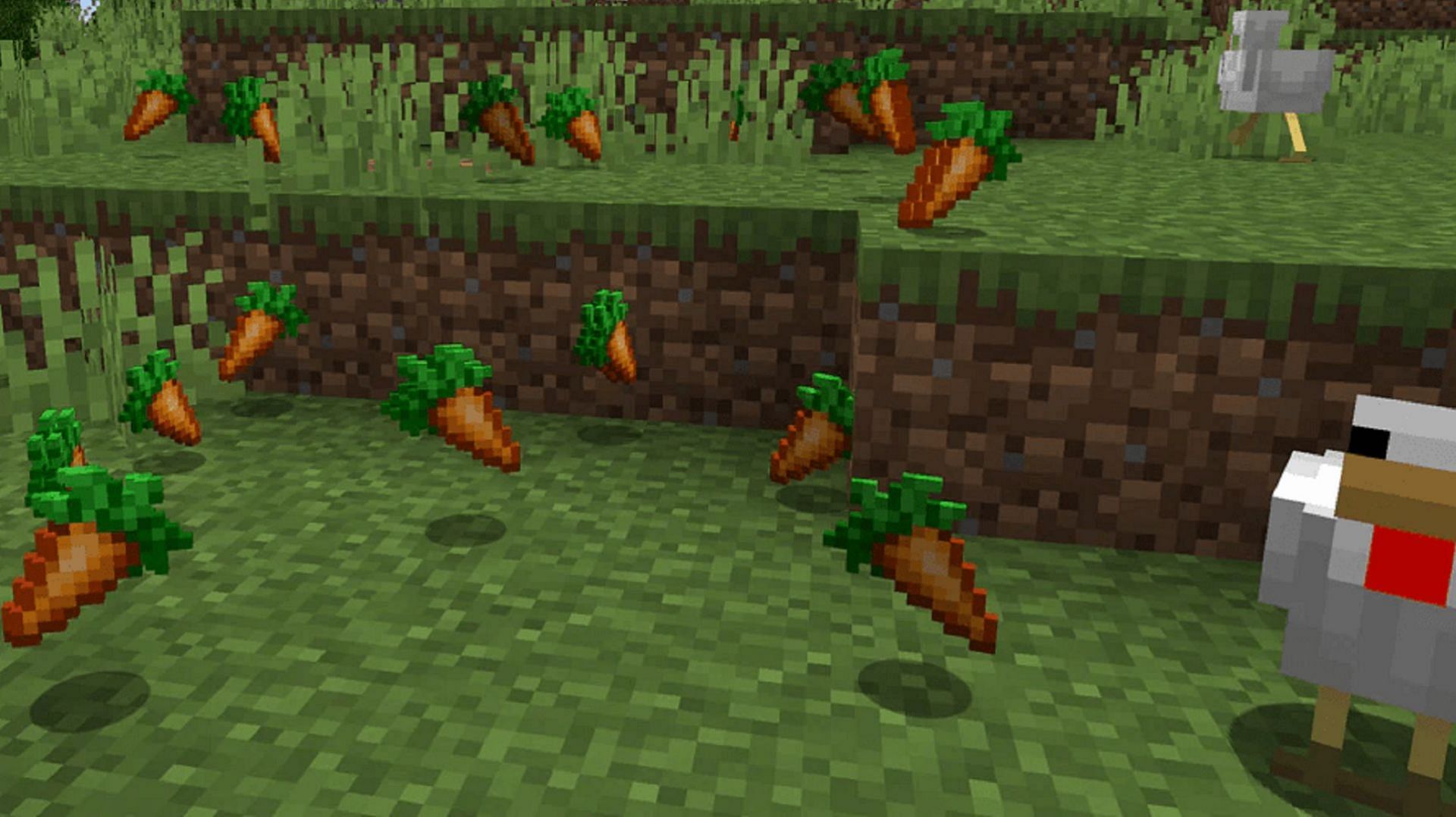 Carrots are a quick-growing and decent way to stay fed in Minecraft (Image via Mojang)