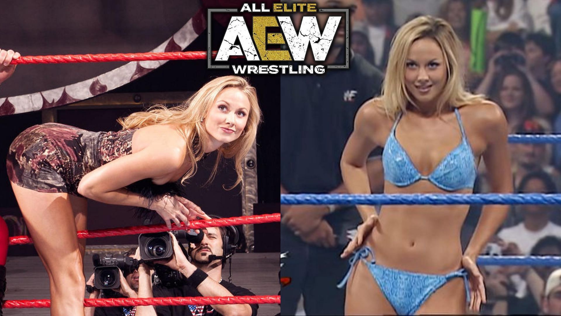 Stacy Keibler was recently compared to an AEW star